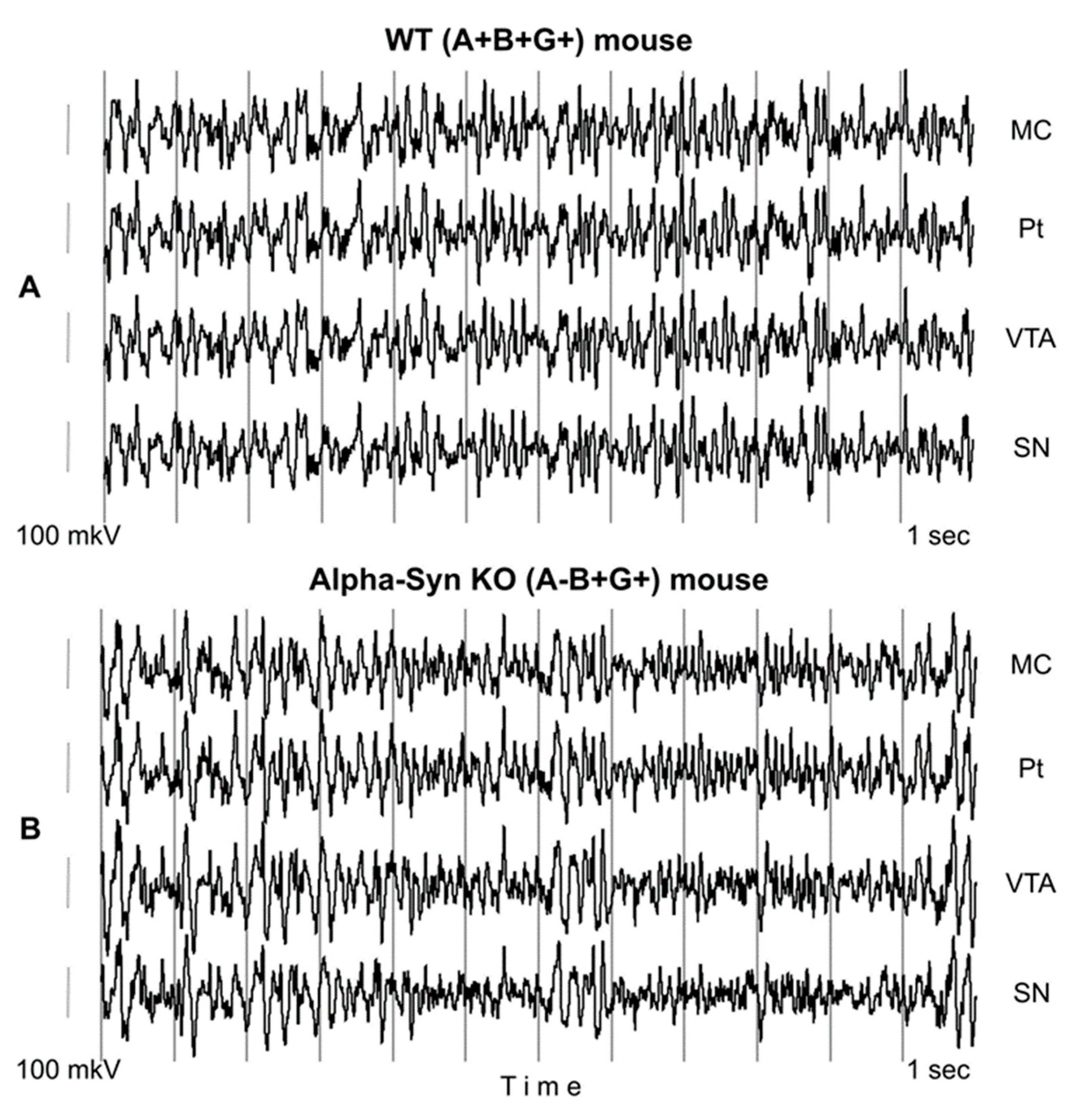 Biomedicines 12 00881 g001