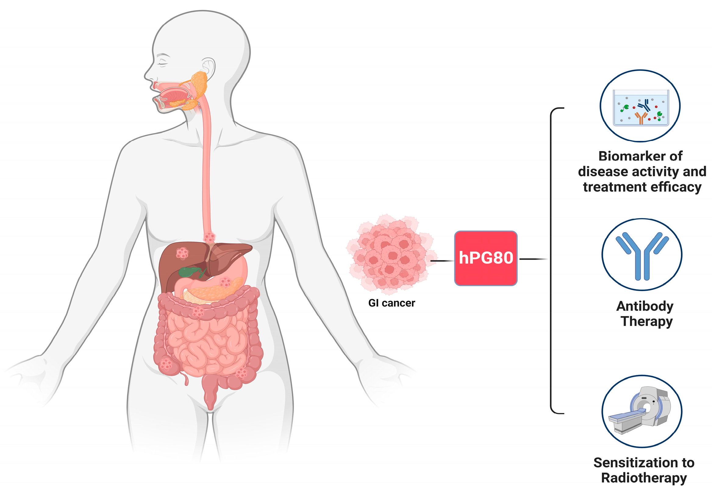 Biomedicines 12 00885 g002