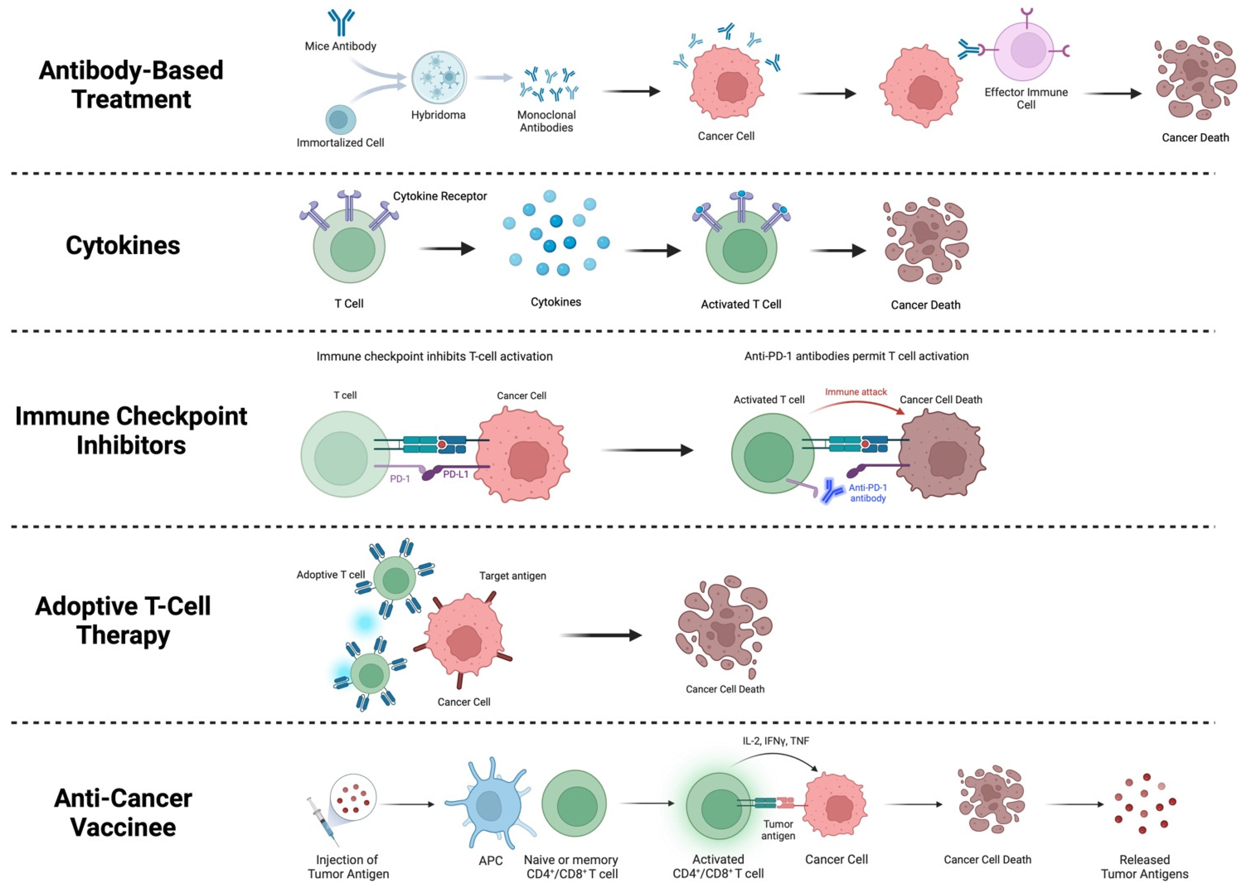 Biomedicines 12 00895 g003