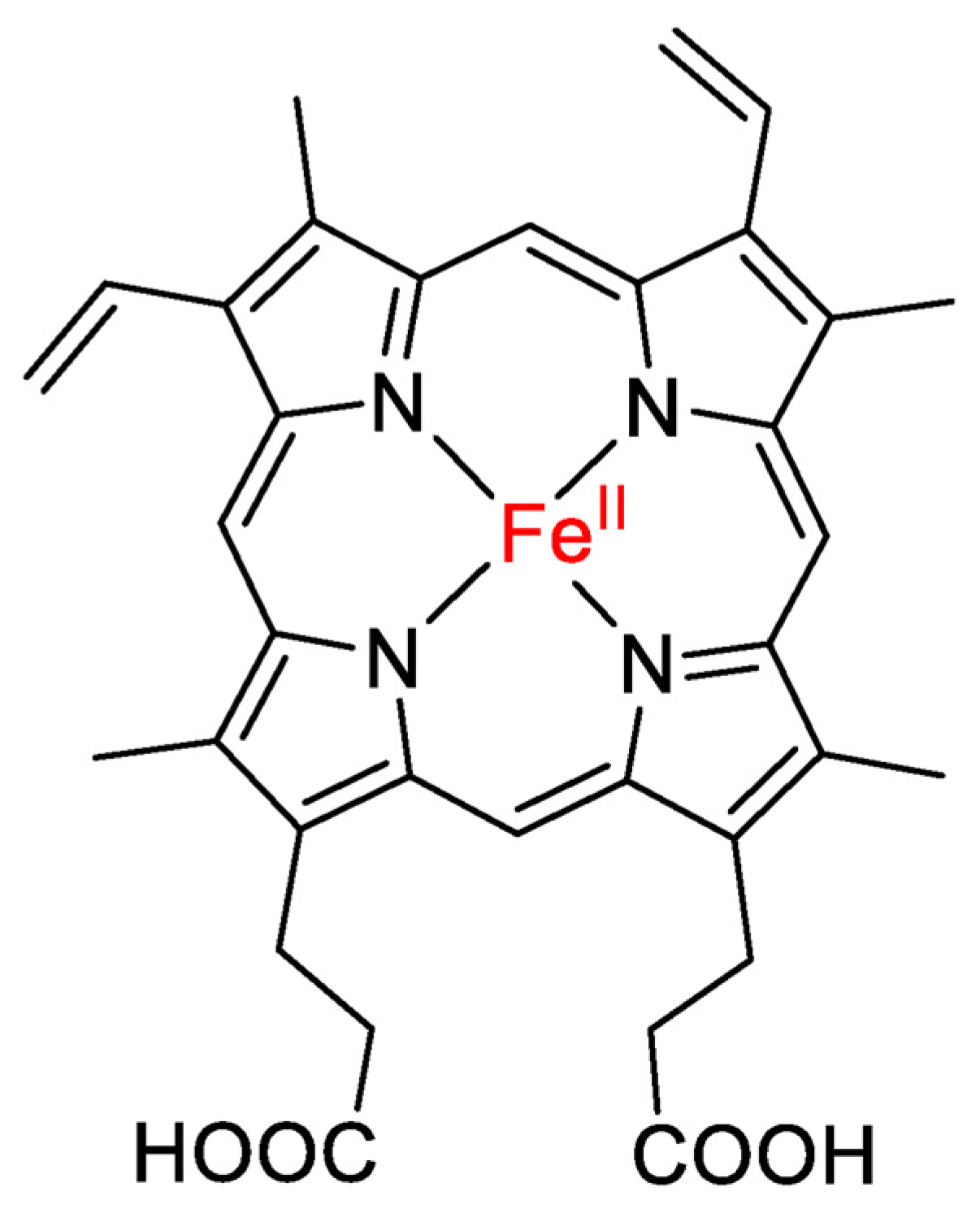 Biomedicines 12 00898 g001
