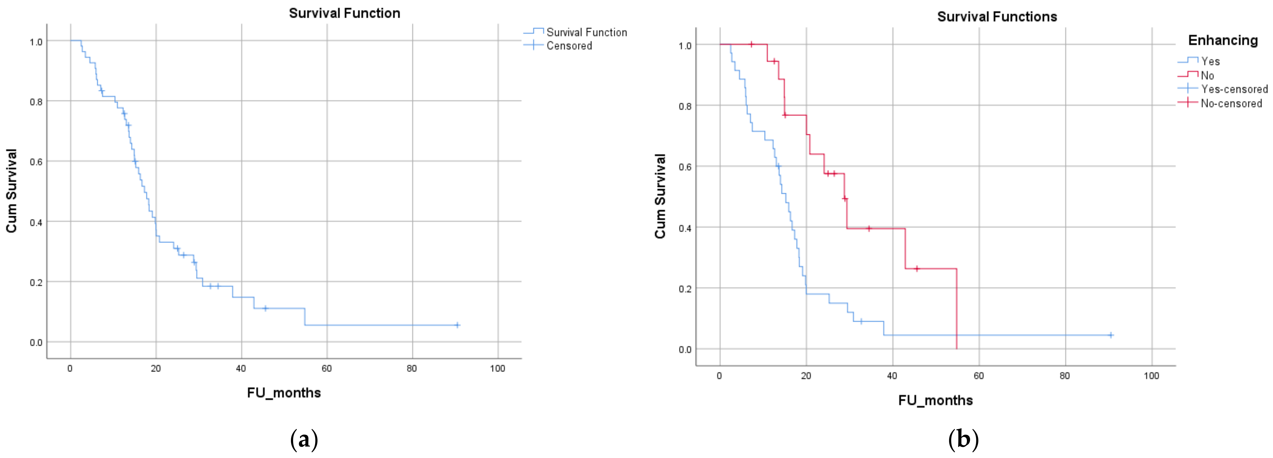 Biomedicines 12 00901 g003