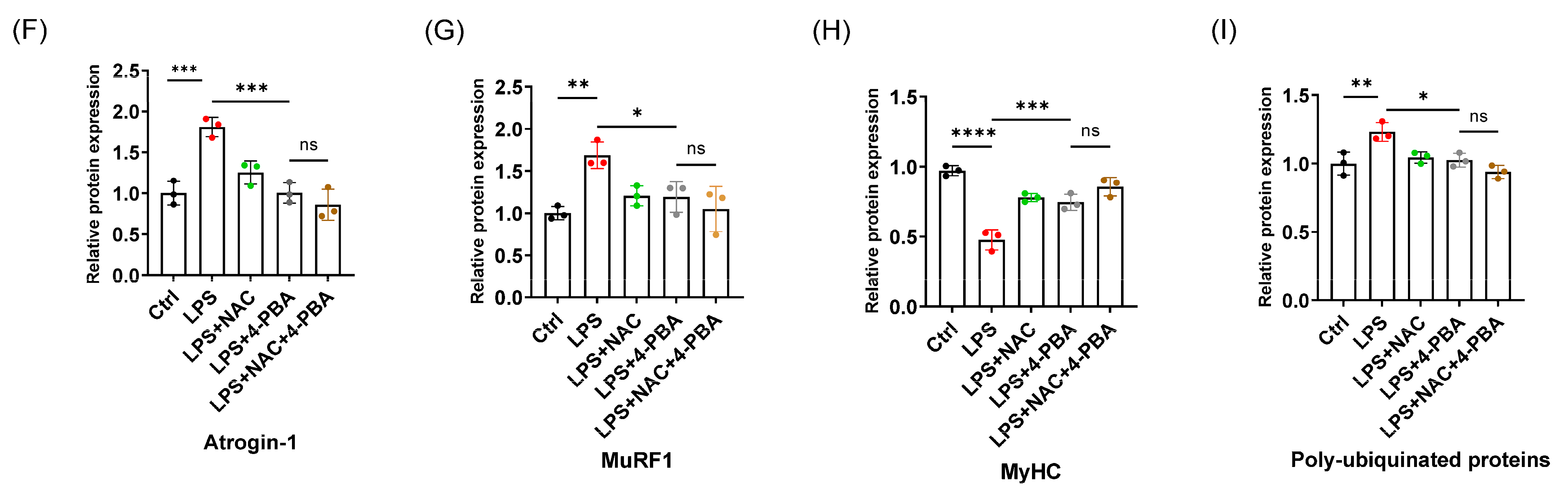 Biomedicines 12 00902 g004b
