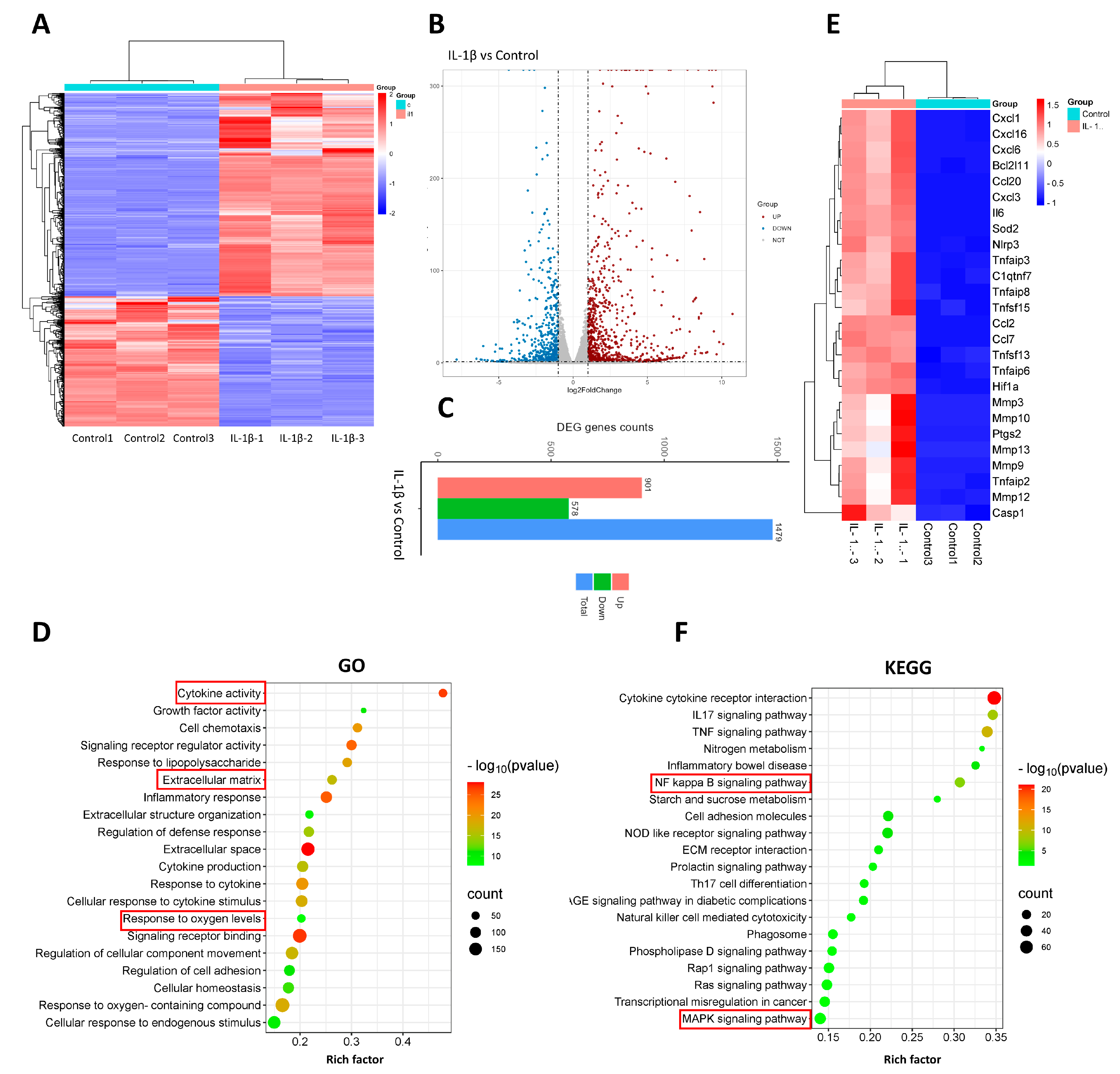 Biomedicines 12 00904 g003