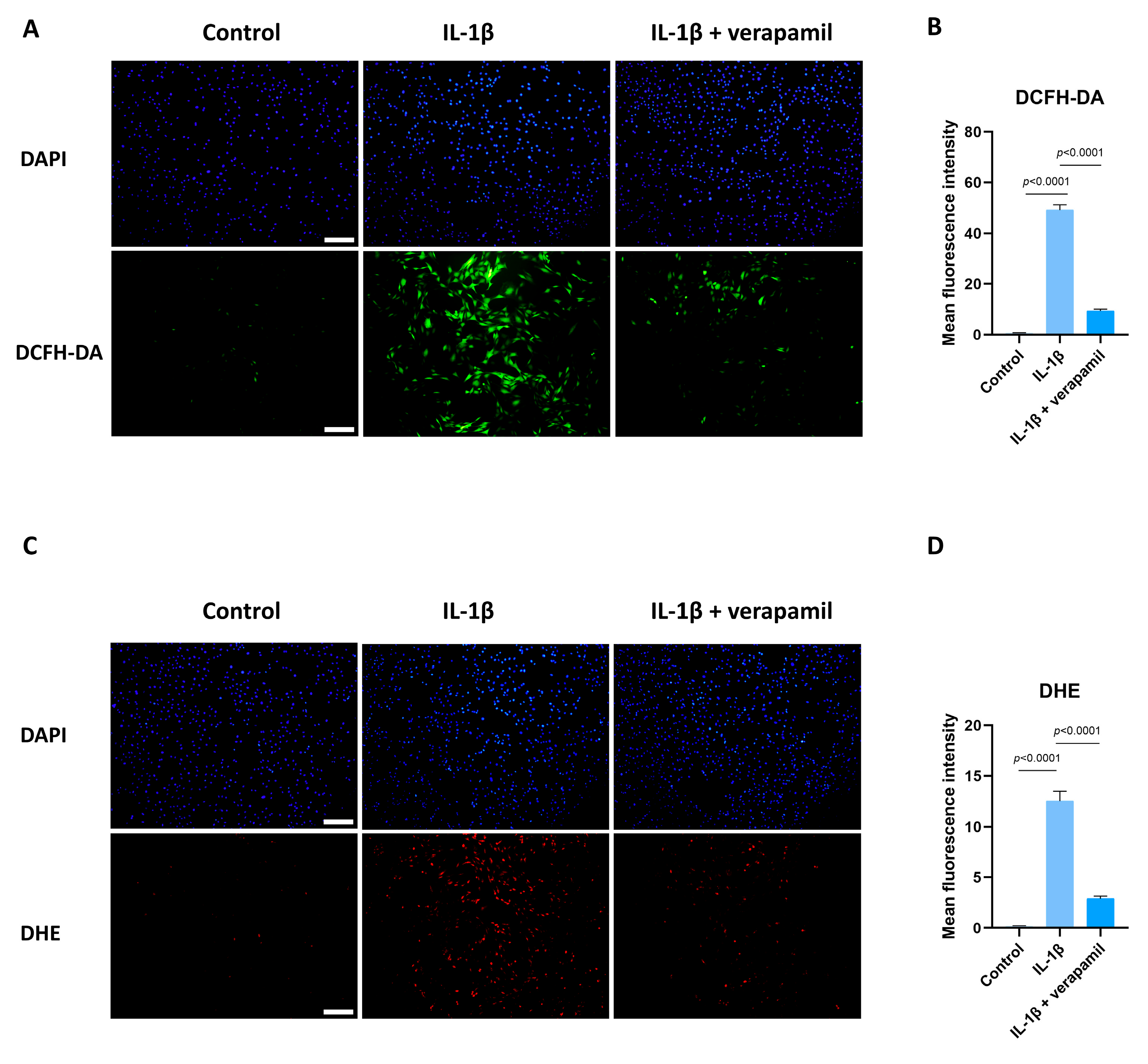 Biomedicines 12 00904 g005