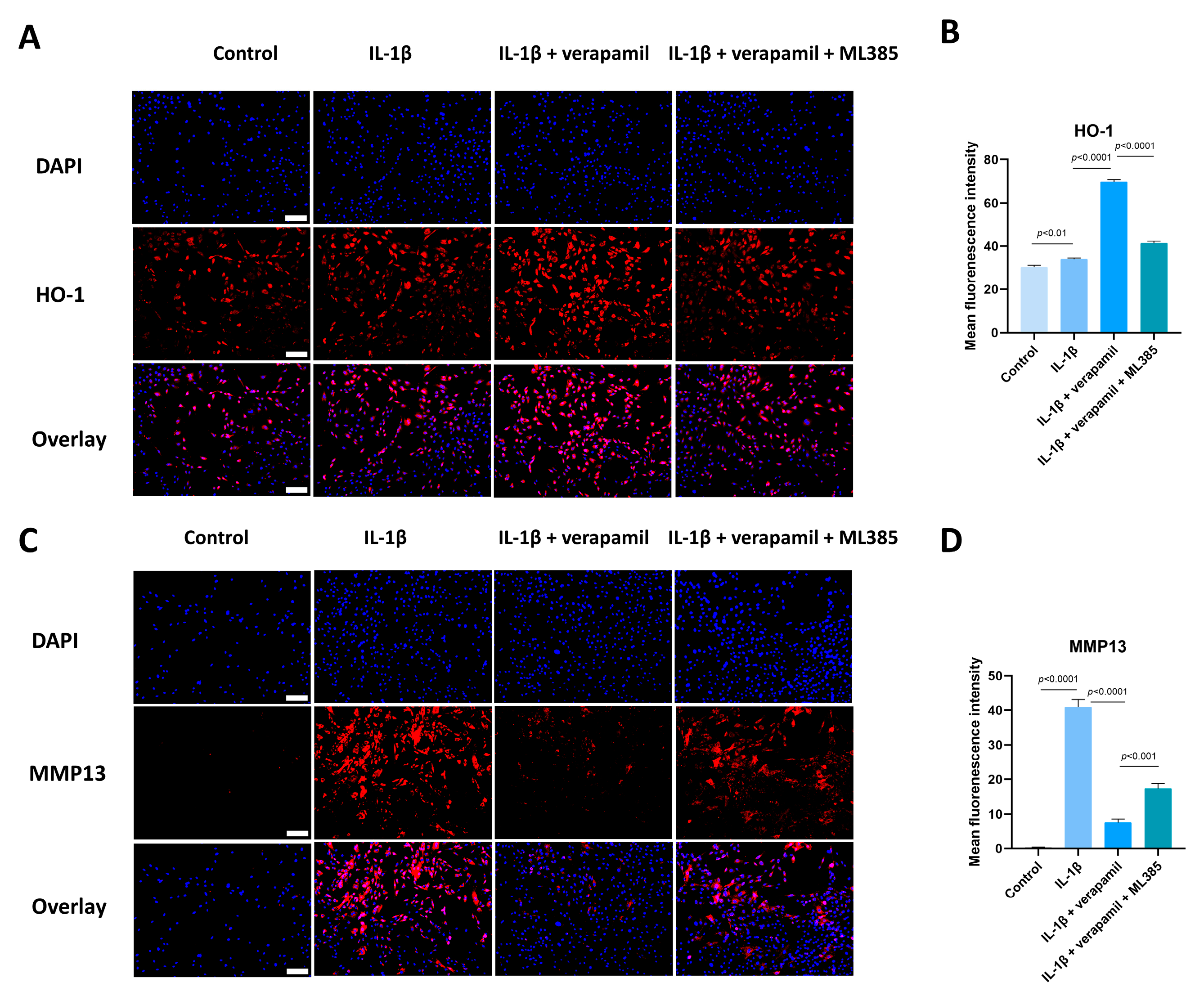Biomedicines 12 00904 g008
