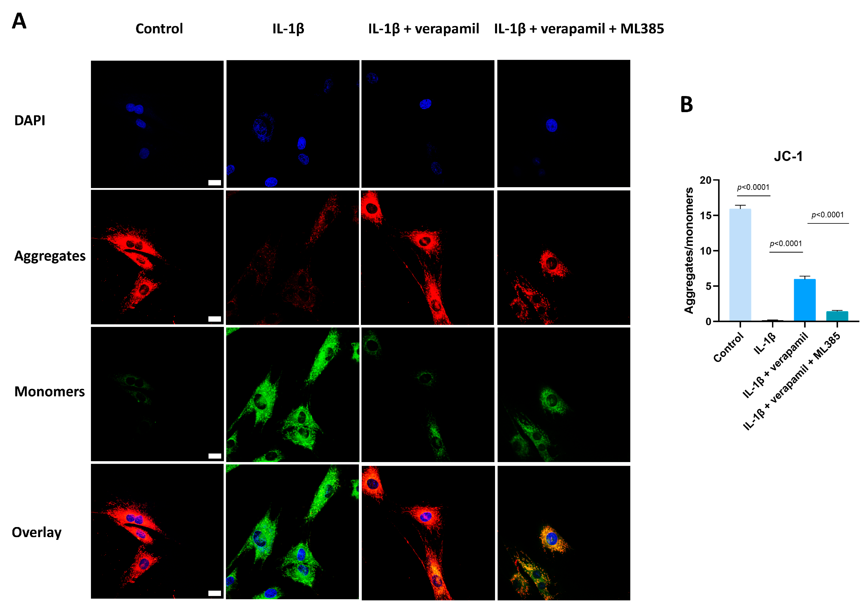 Biomedicines 12 00904 g009