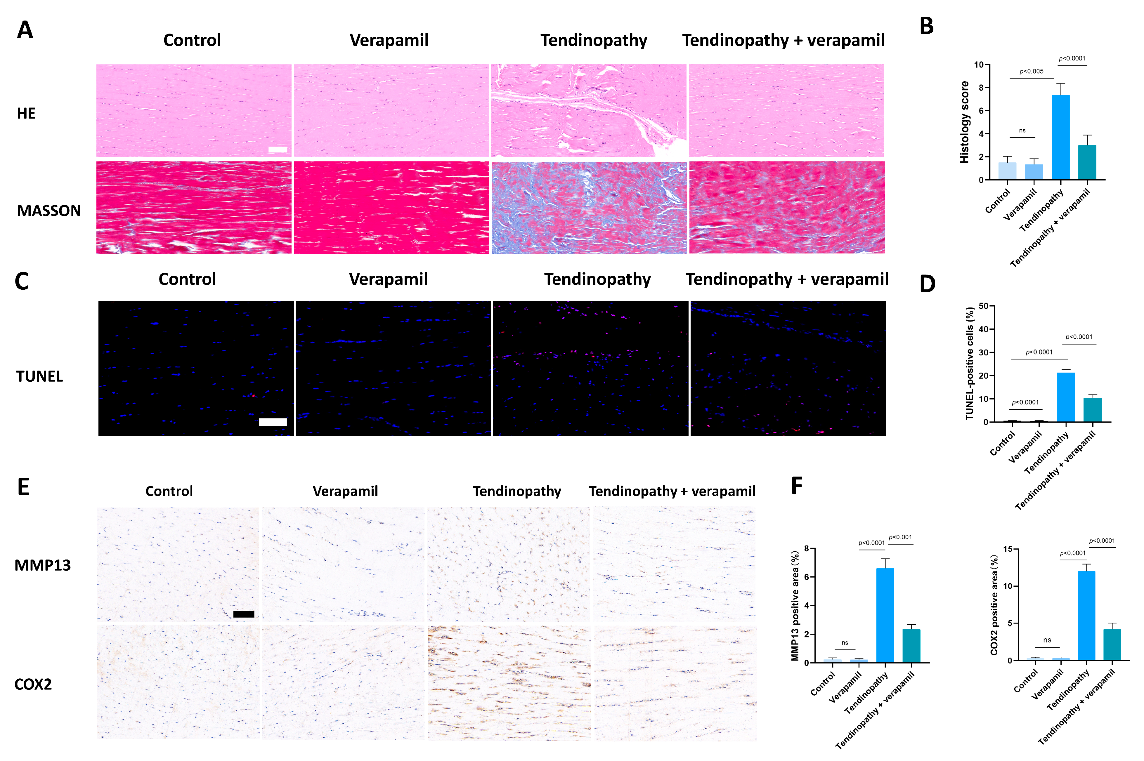 Biomedicines 12 00904 g010