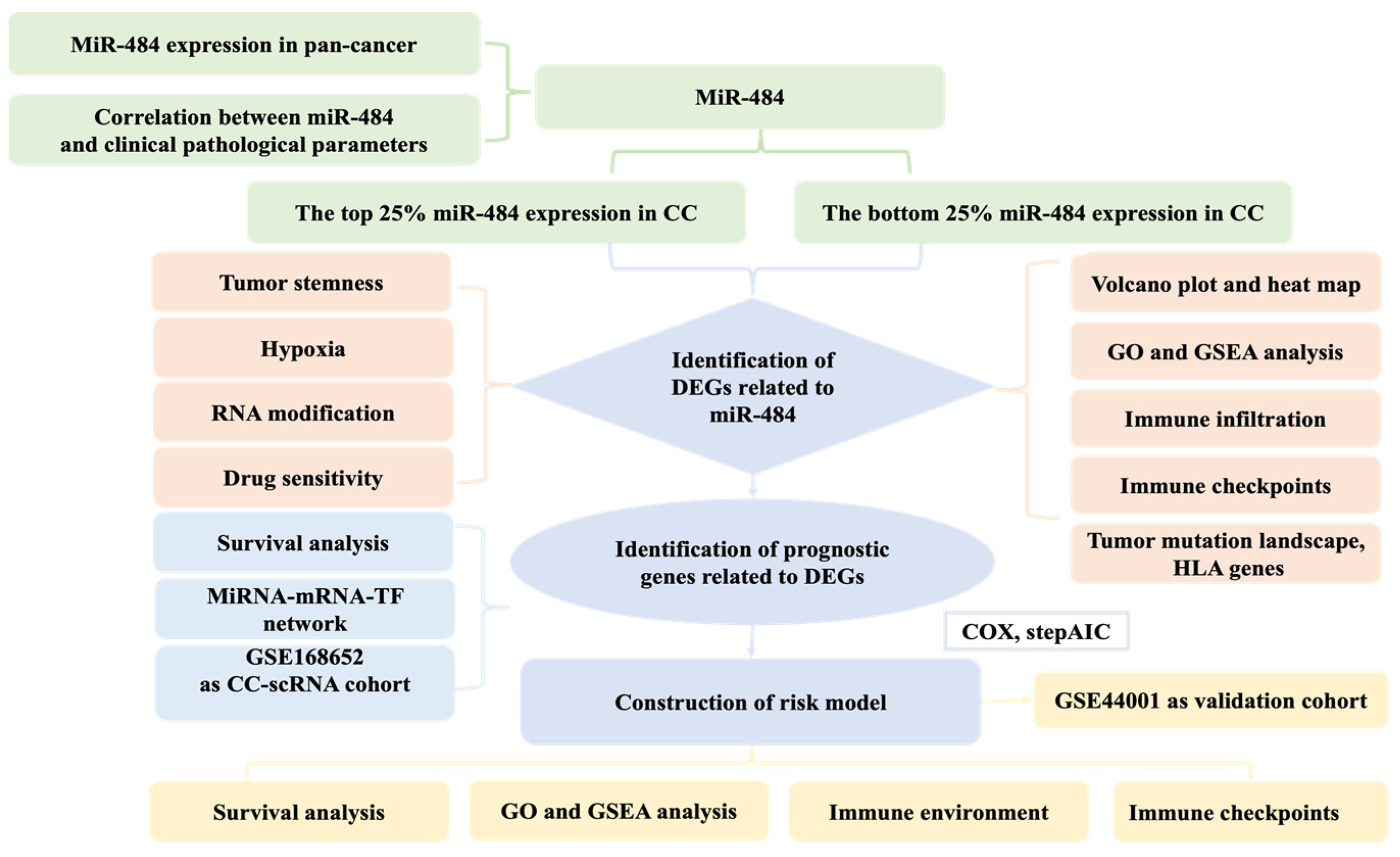 Biomedicines 12 00909 g001