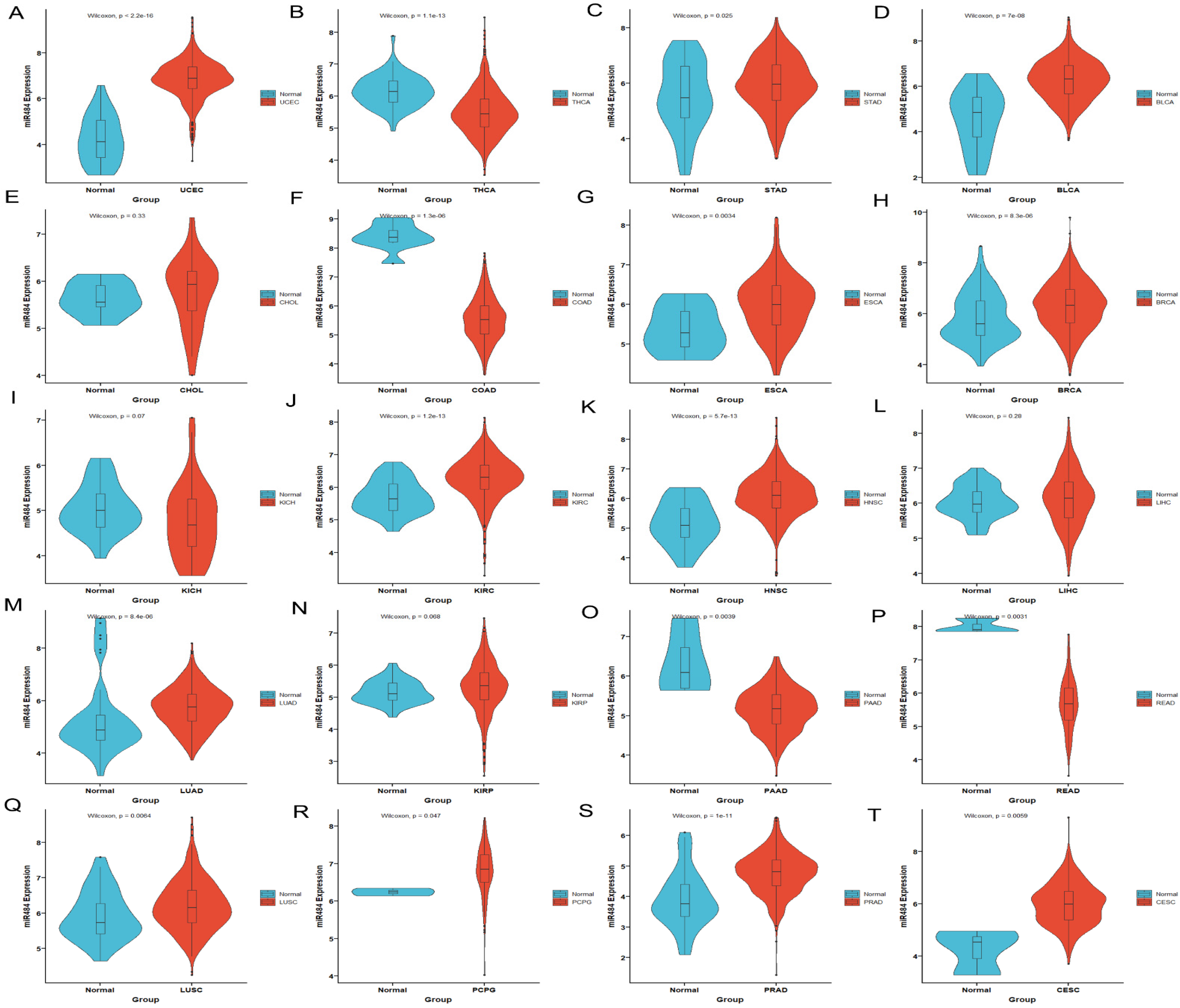 Biomedicines 12 00909 g002