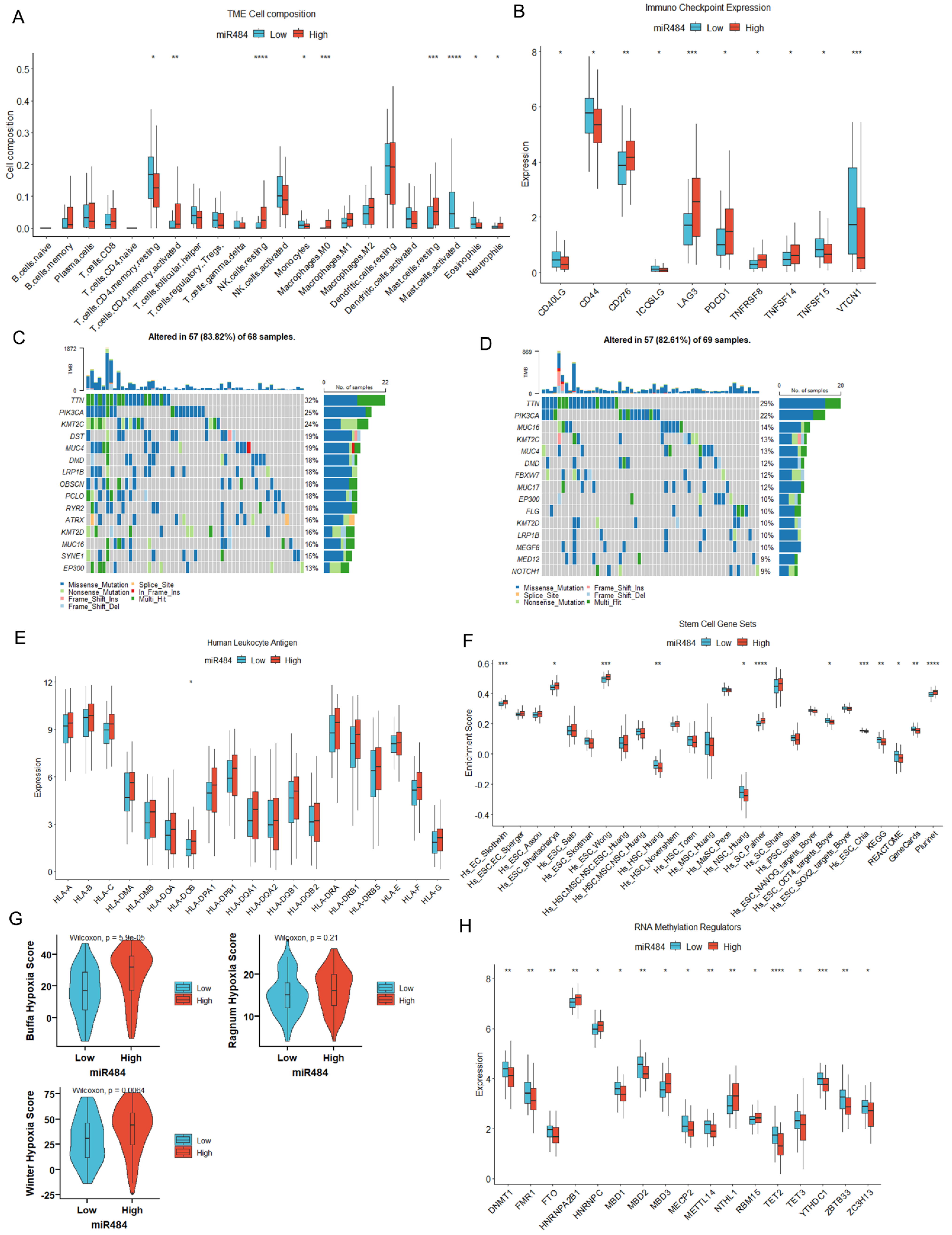 Biomedicines 12 00909 g004