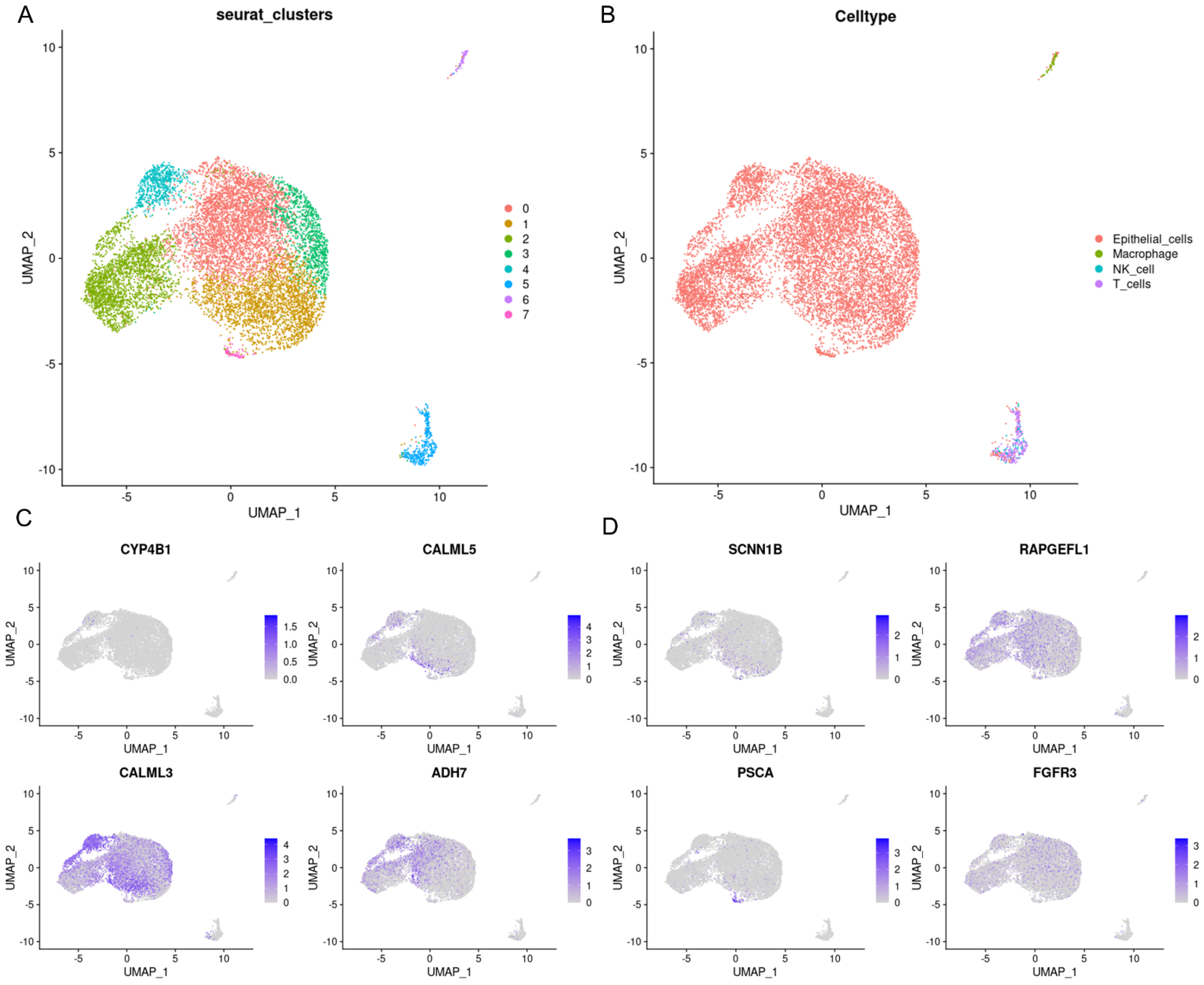 Biomedicines 12 00909 g008