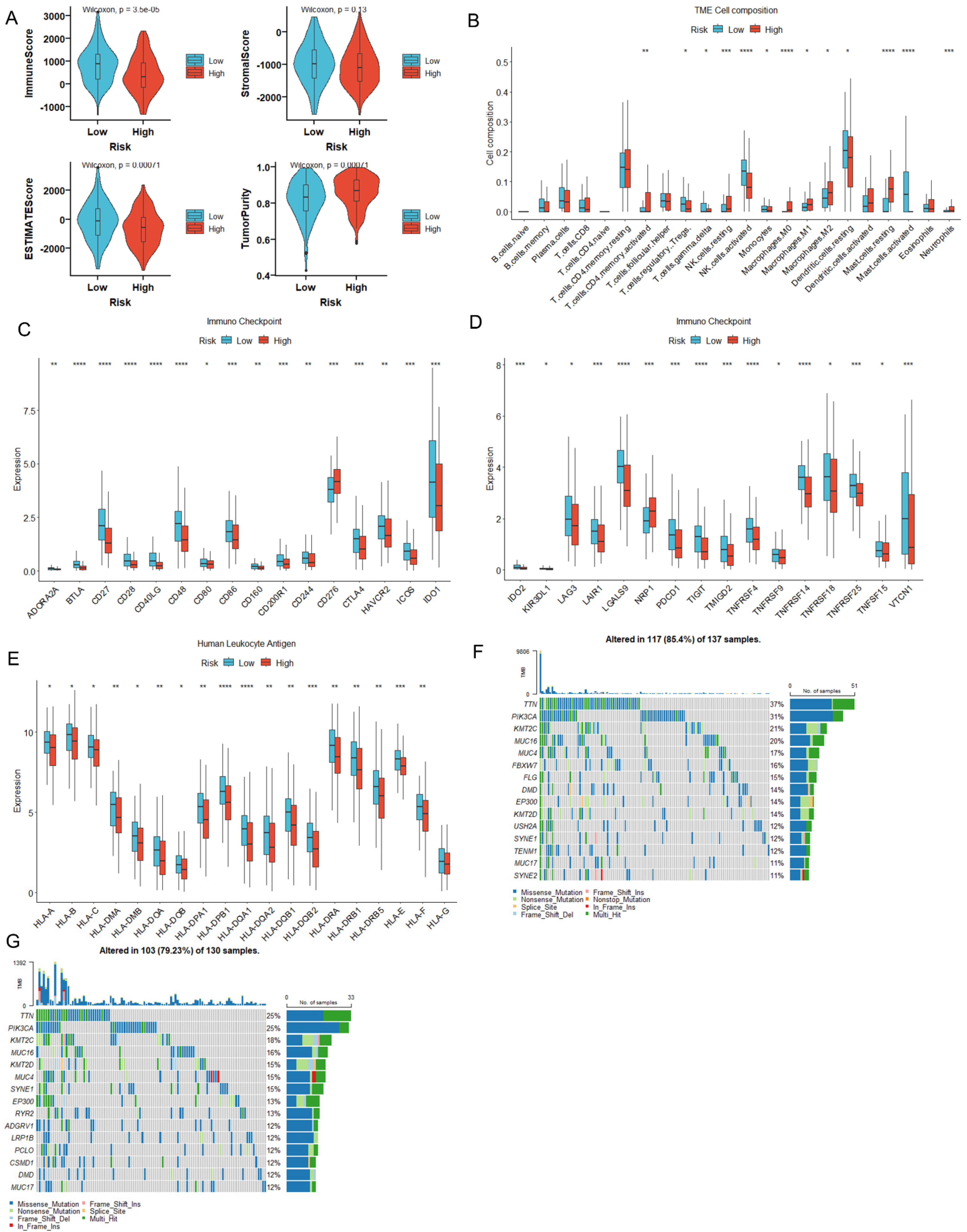 Biomedicines 12 00909 g010