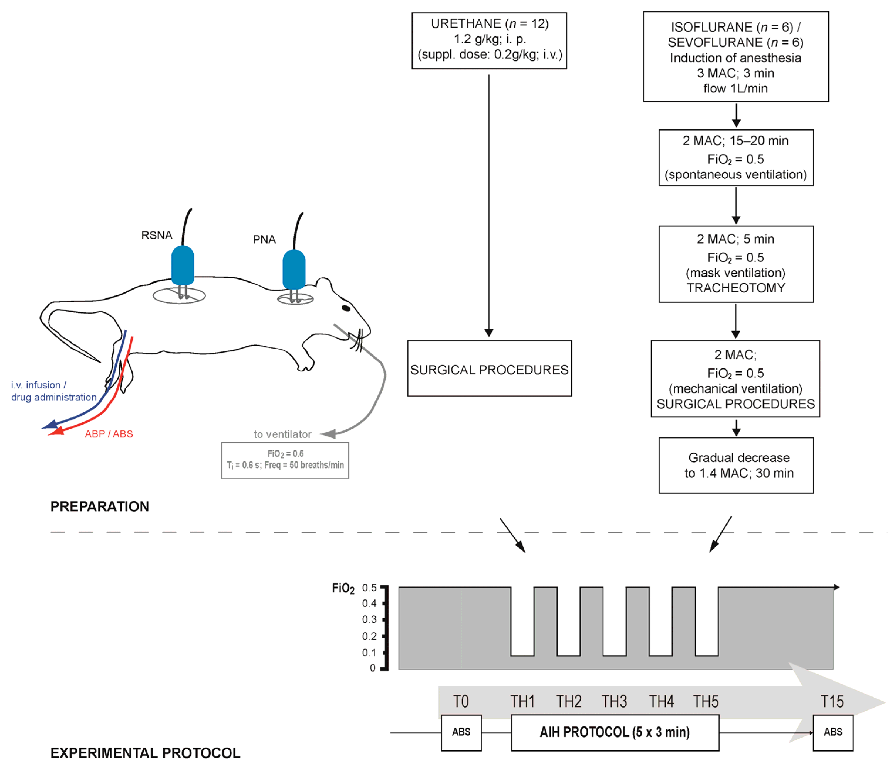 Biomedicines 12 00910 g001