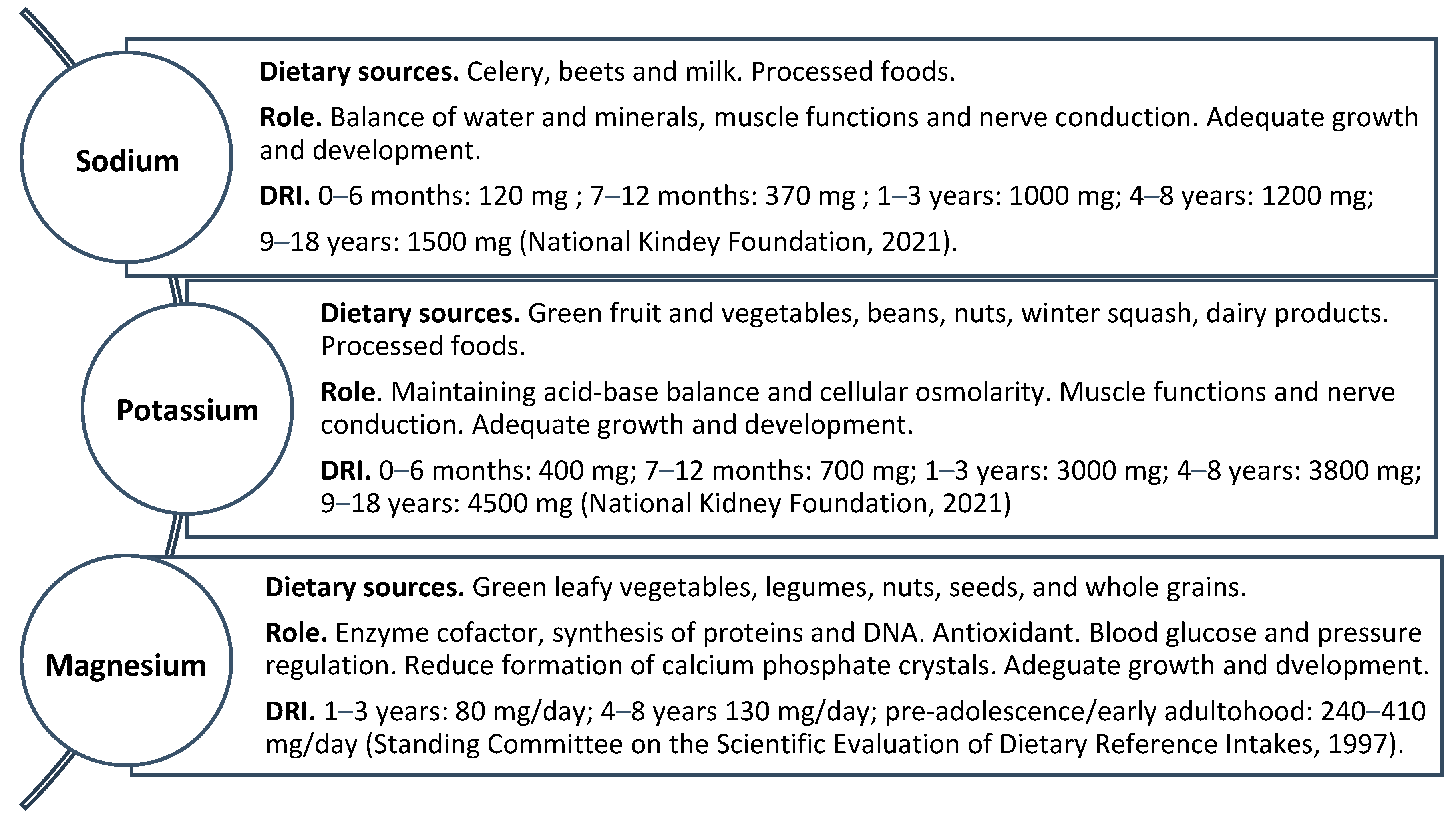 Biomedicines 12 00911 g001