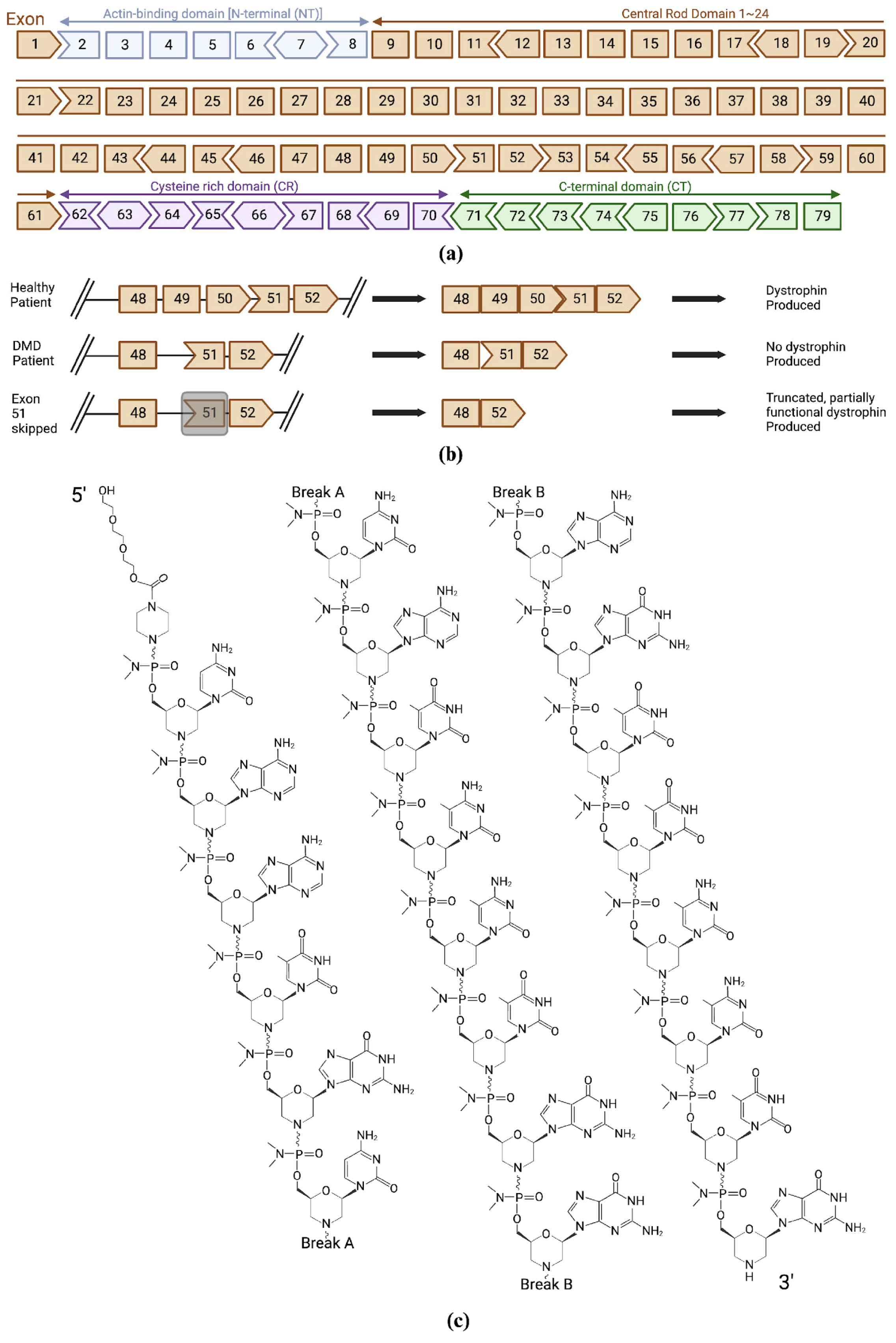 Biomedicines 12 00912 g001