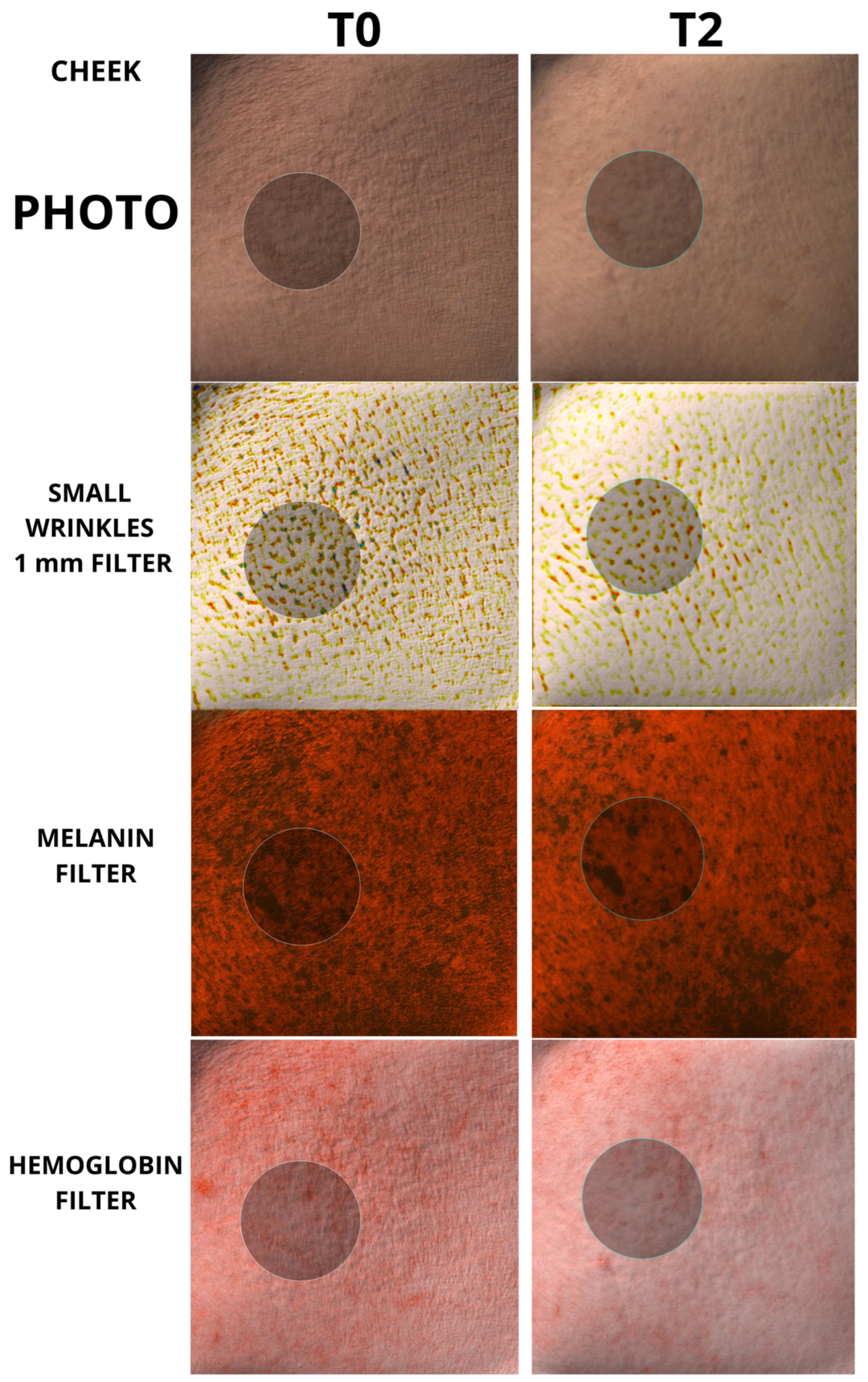 Biomedicines 12 00916 g004
