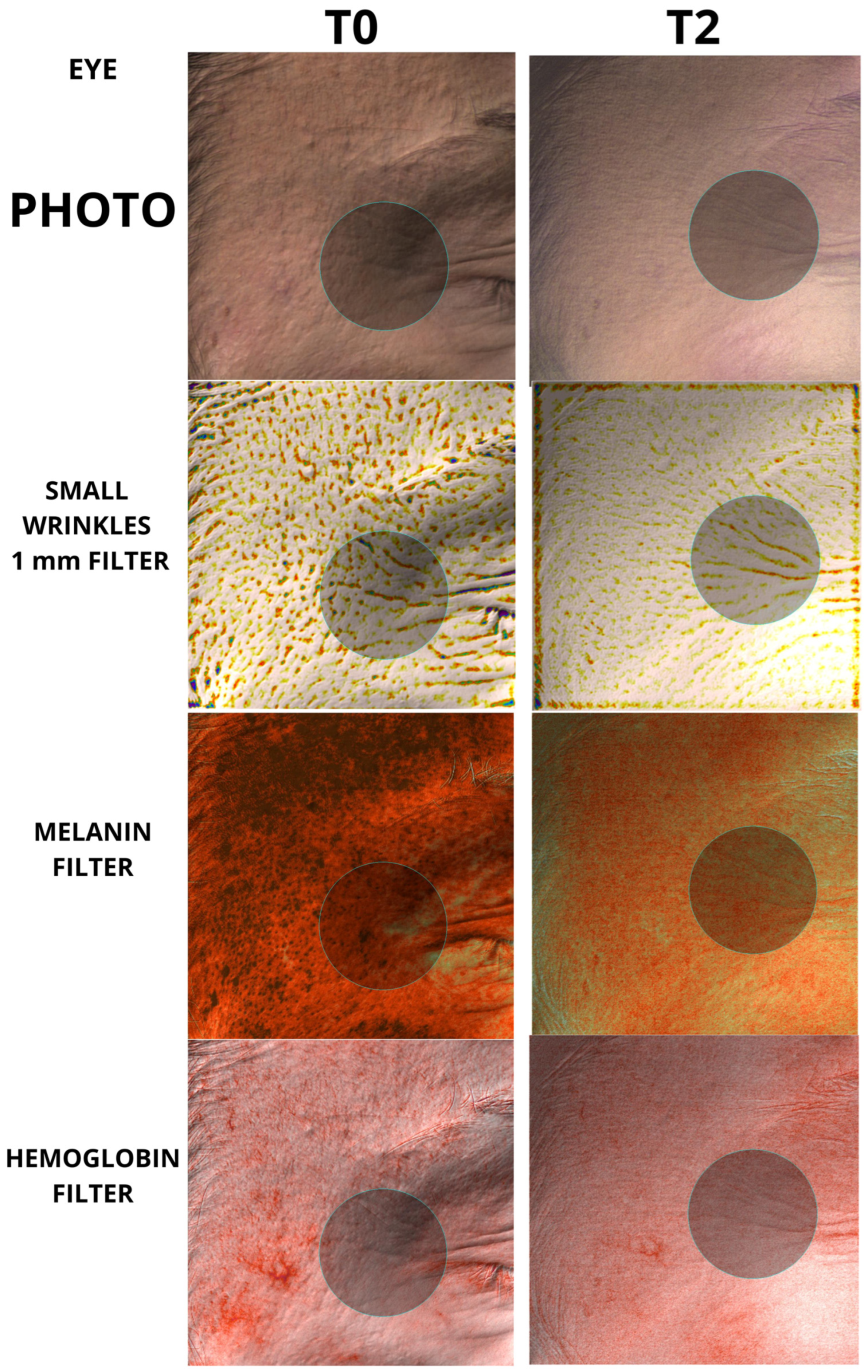 Biomedicines 12 00916 g005