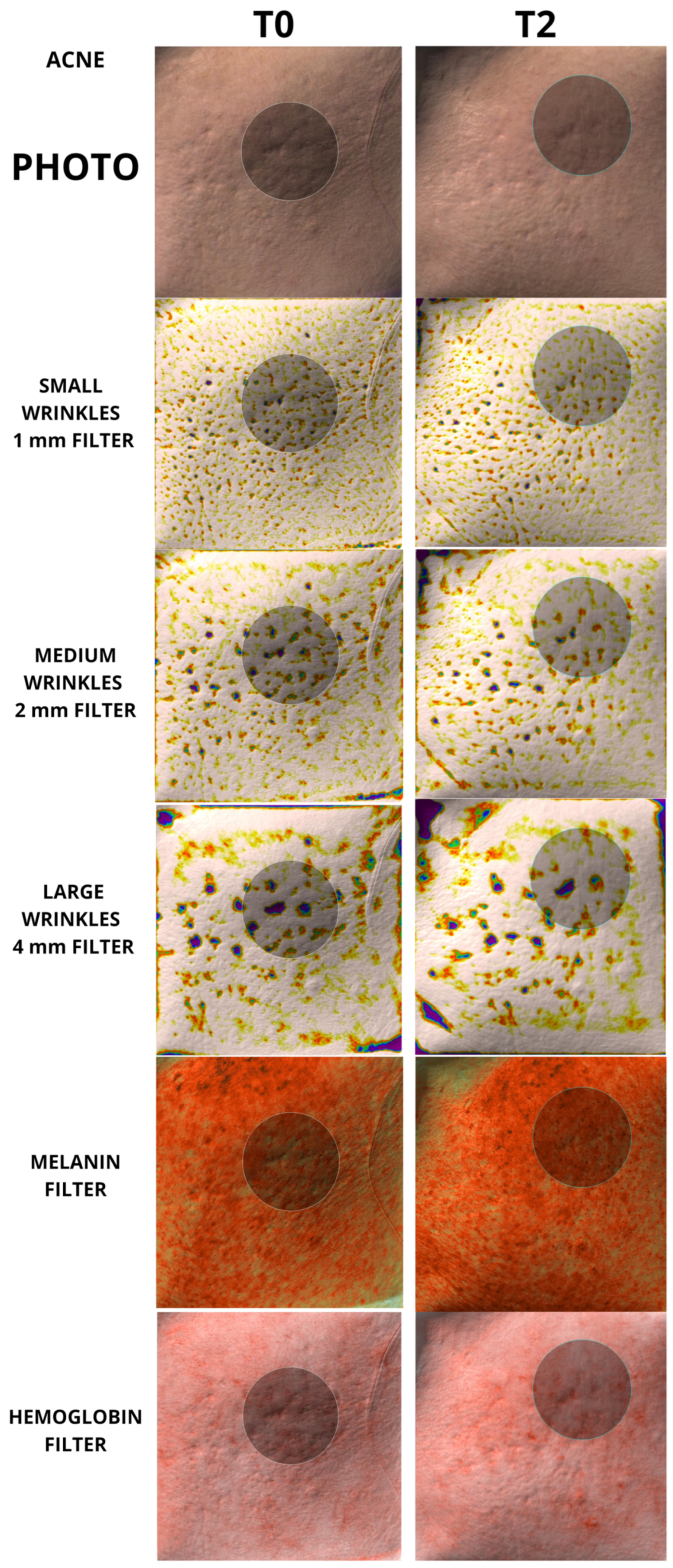 Biomedicines 12 00916 g007