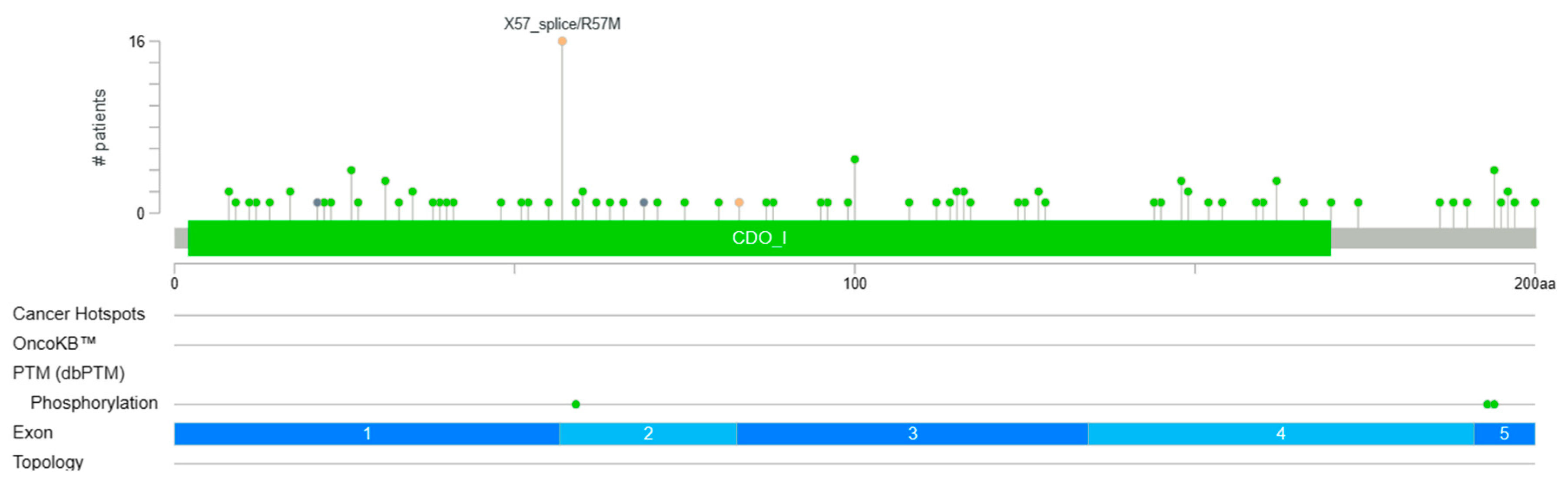 Biomedicines 12 00918 g004