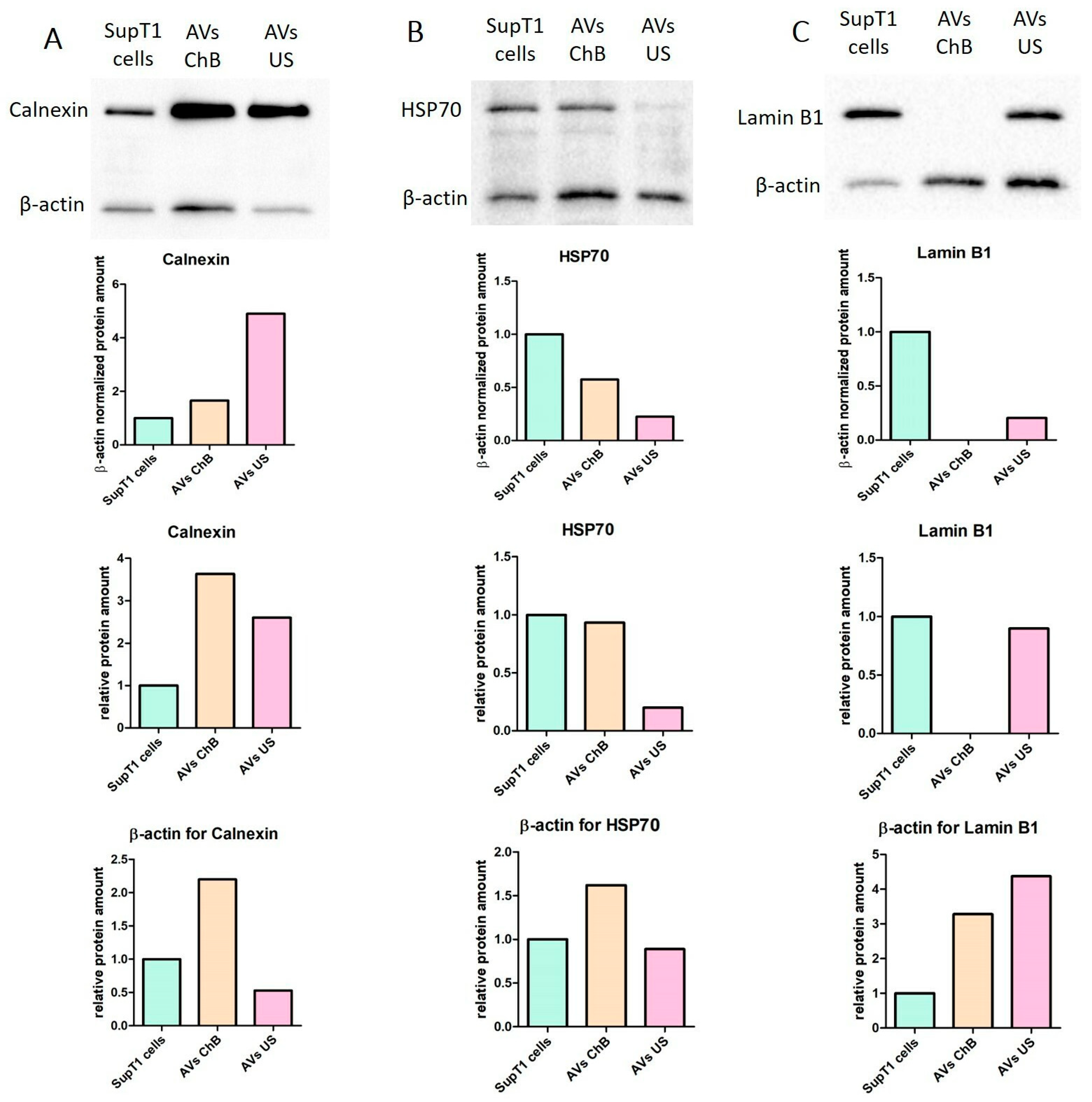 Biomedicines 12 00919 g009