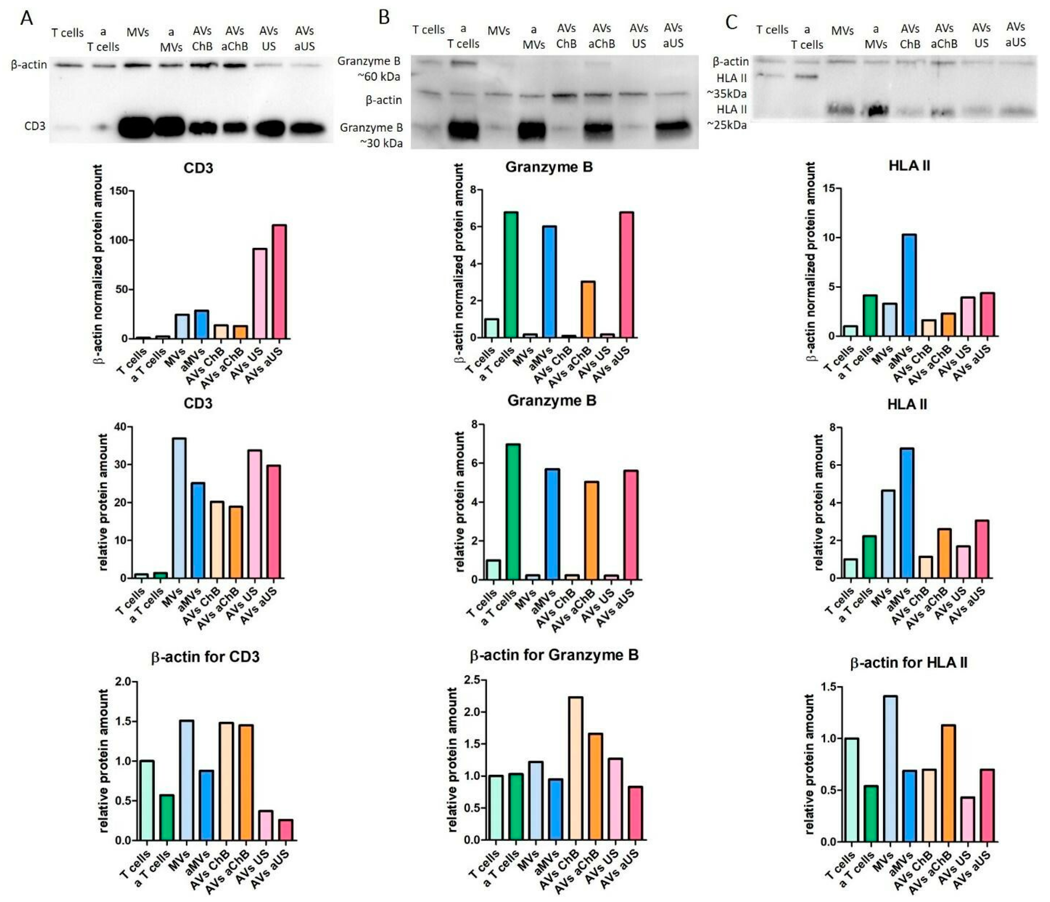 Biomedicines 12 00919 g010