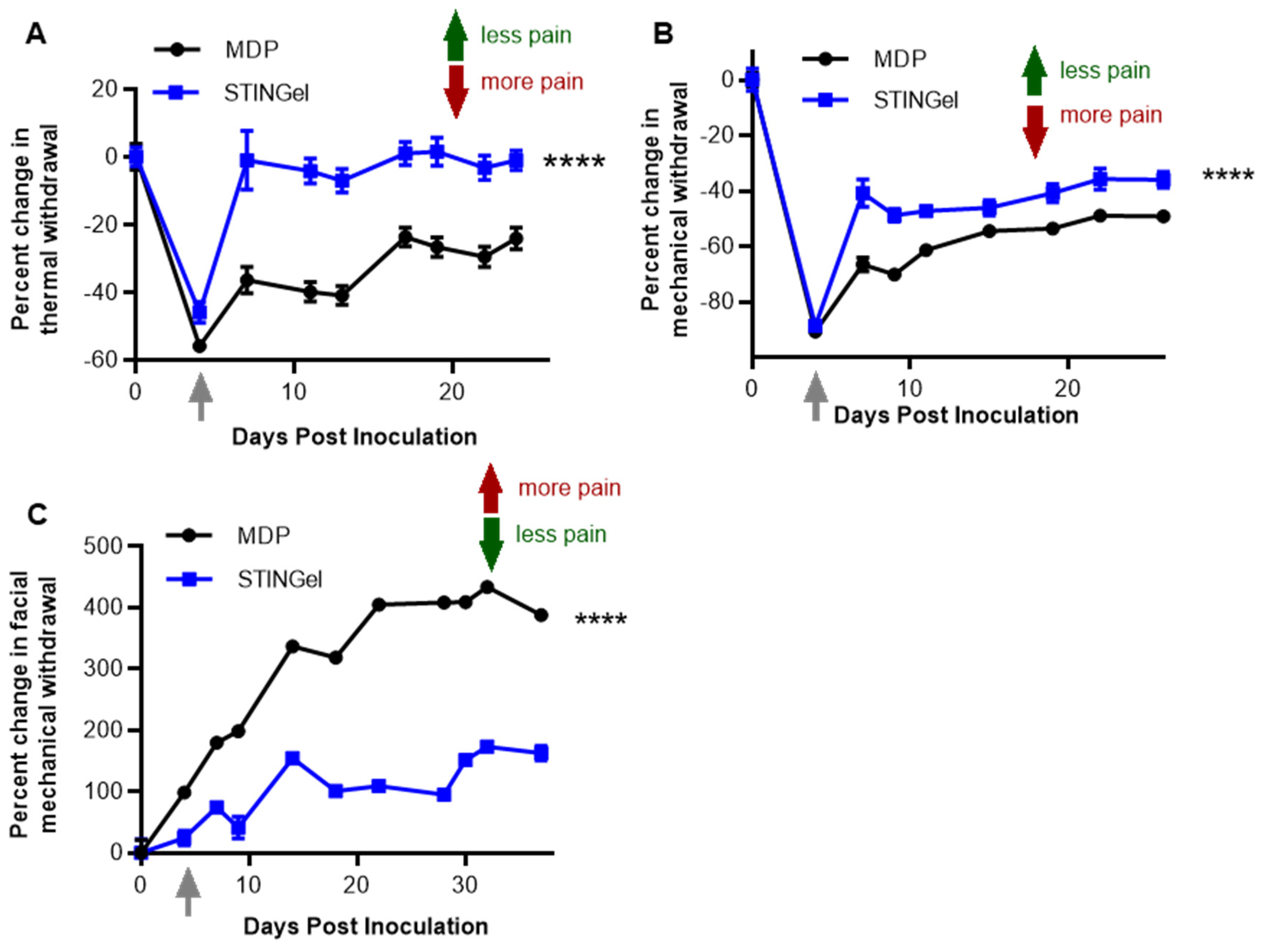 Biomedicines 12 00920 g001