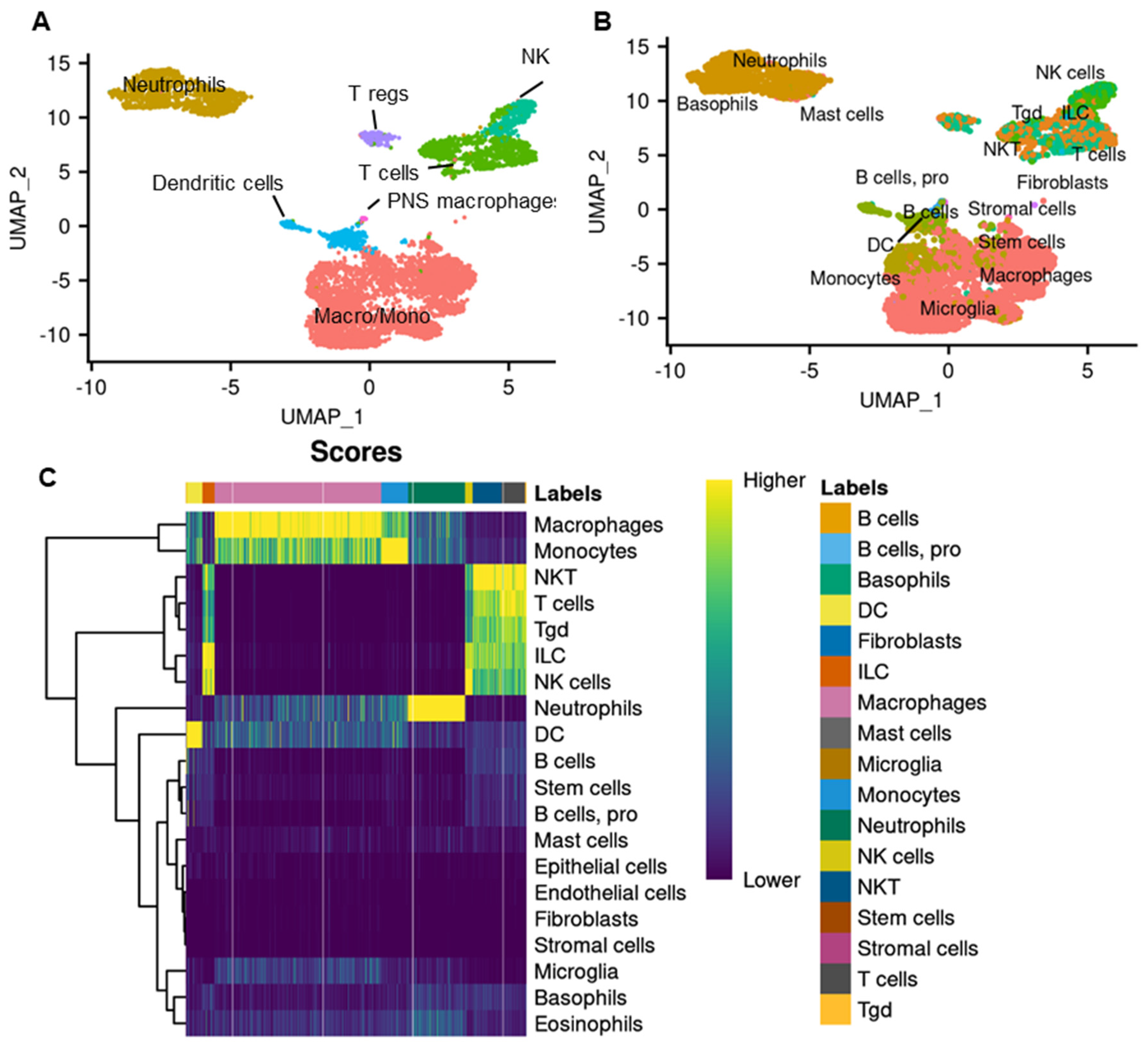 Biomedicines 12 00920 g002