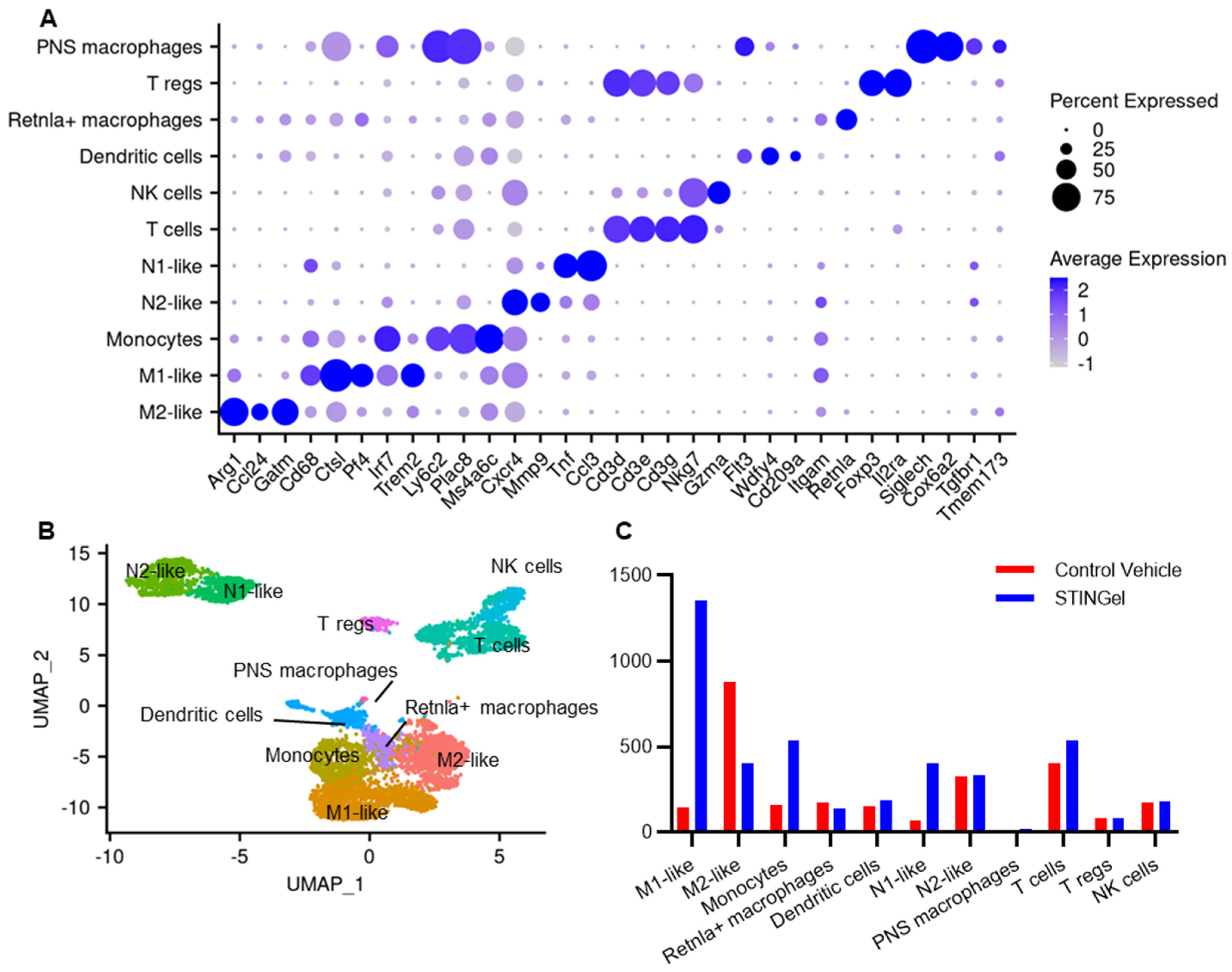 Biomedicines 12 00920 g003