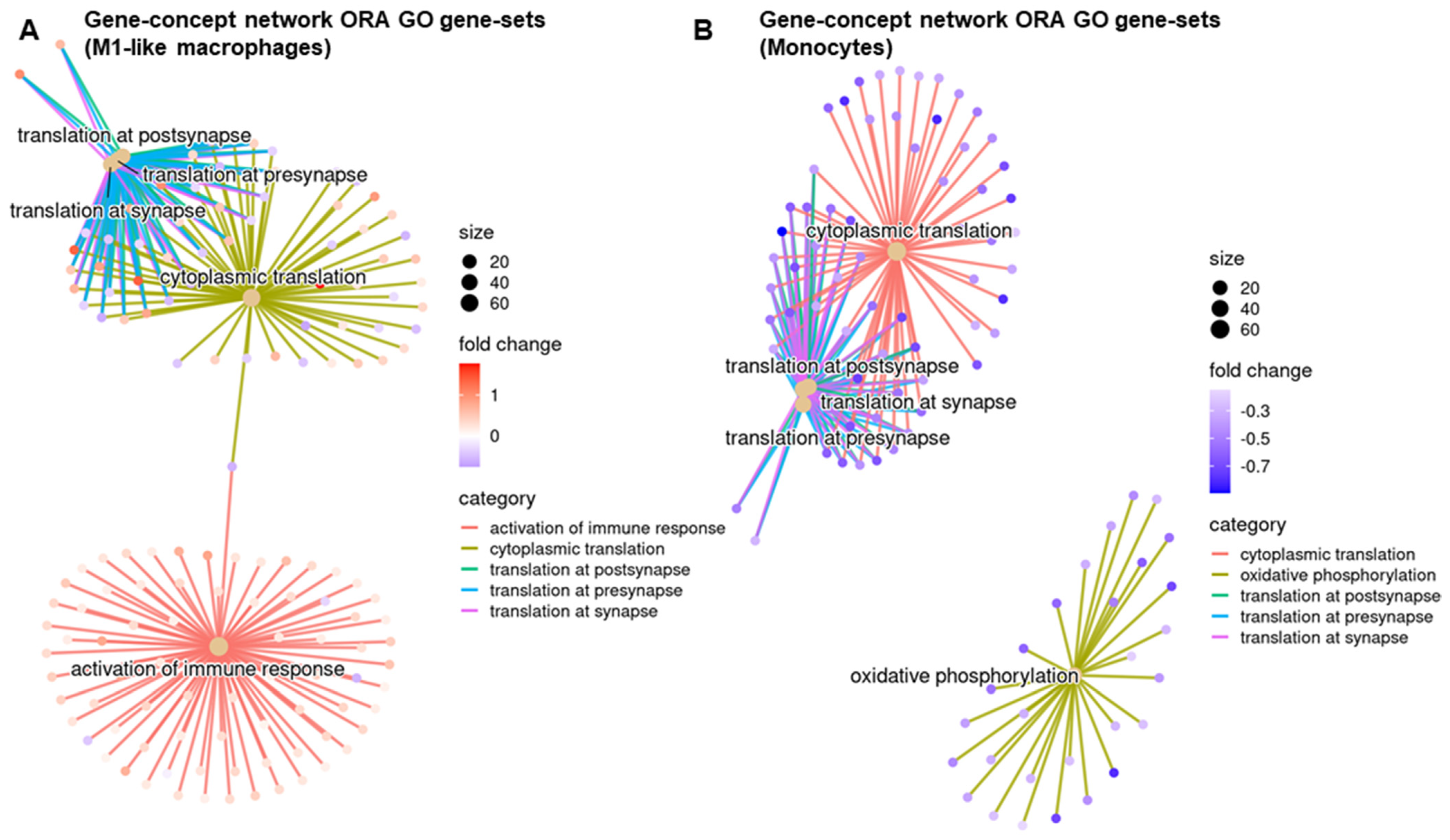 Biomedicines 12 00920 g004