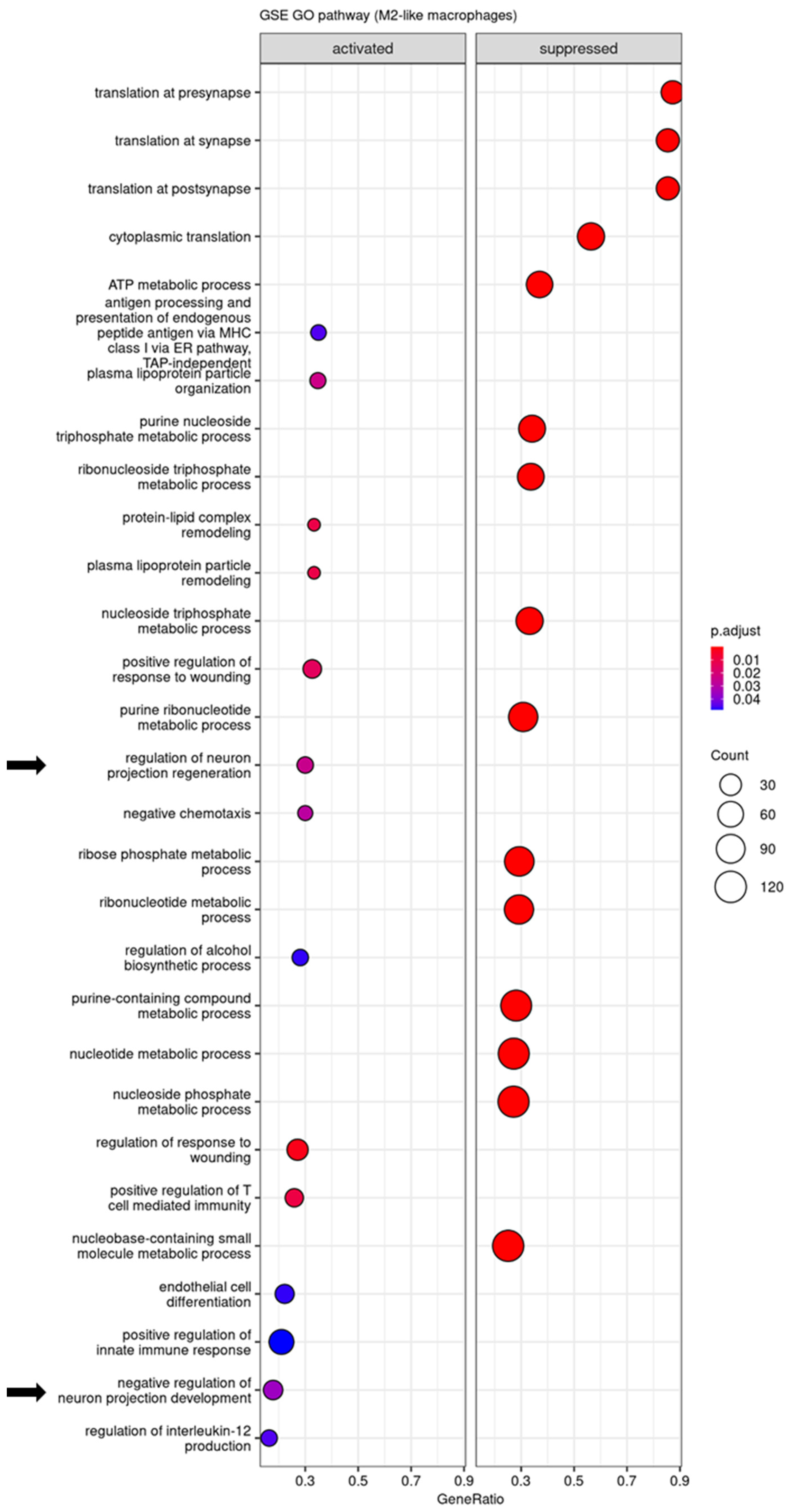 Biomedicines 12 00920 g005