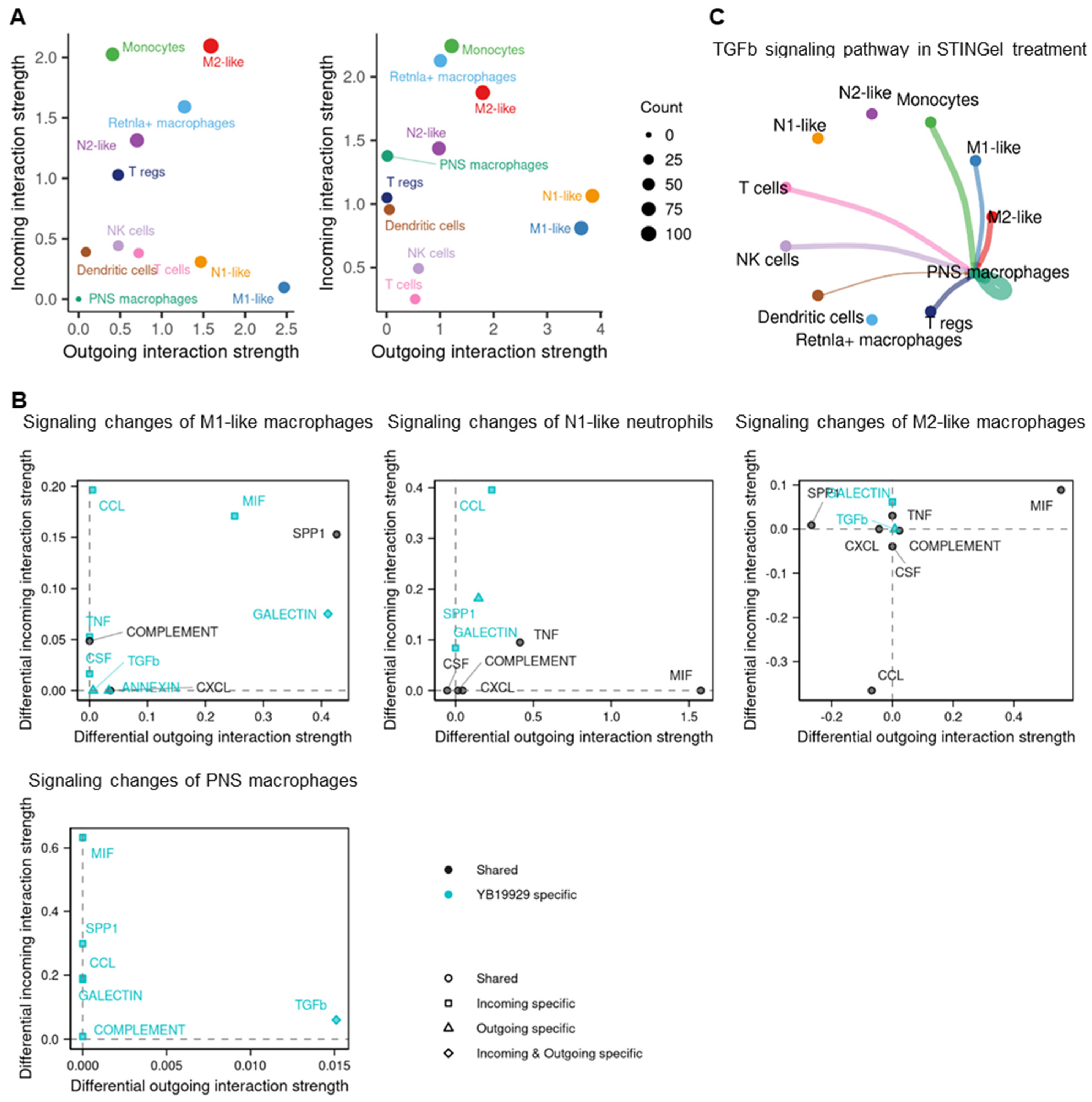 Biomedicines 12 00920 g006