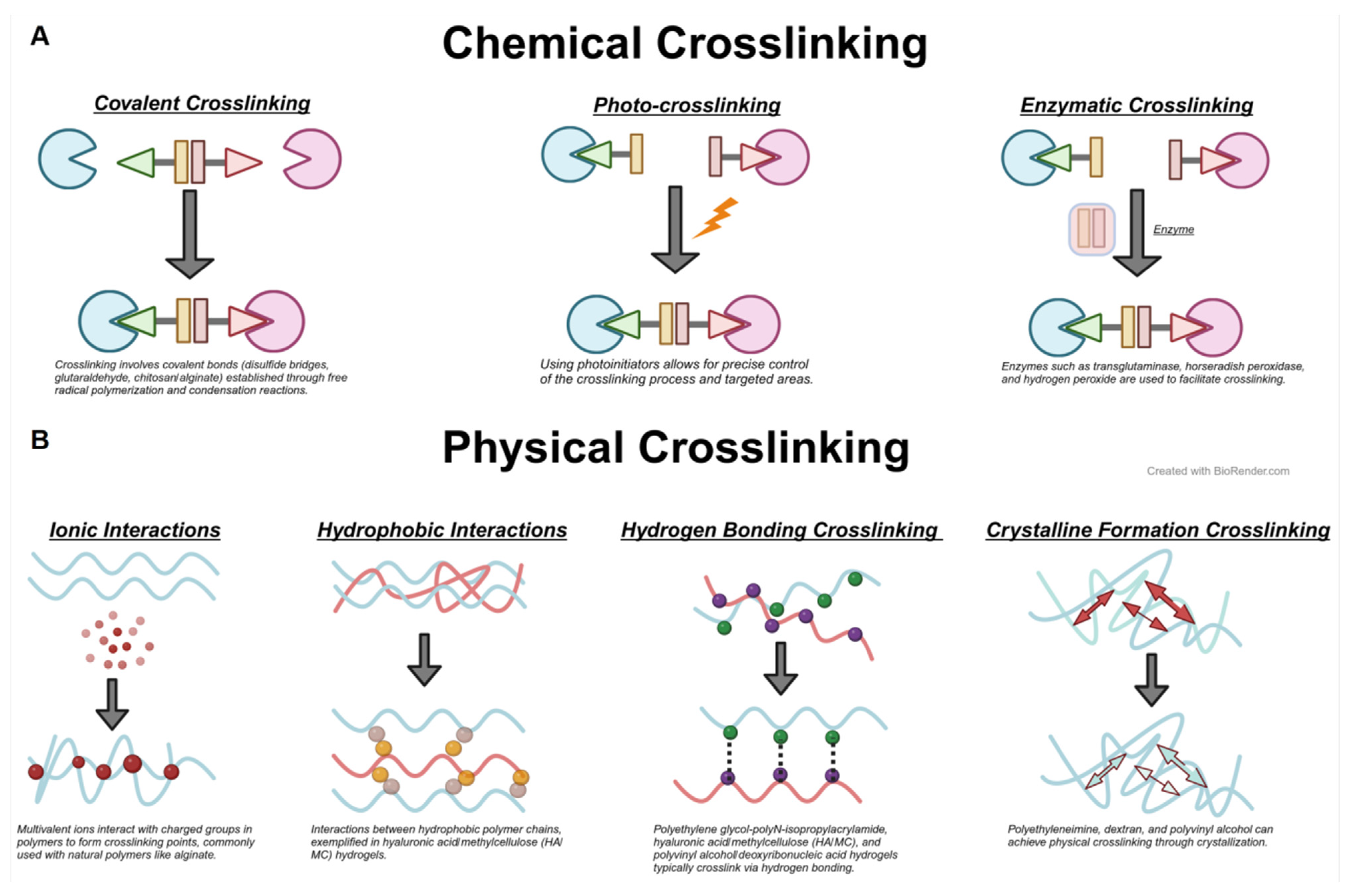 Biomedicines 12 00923 g004