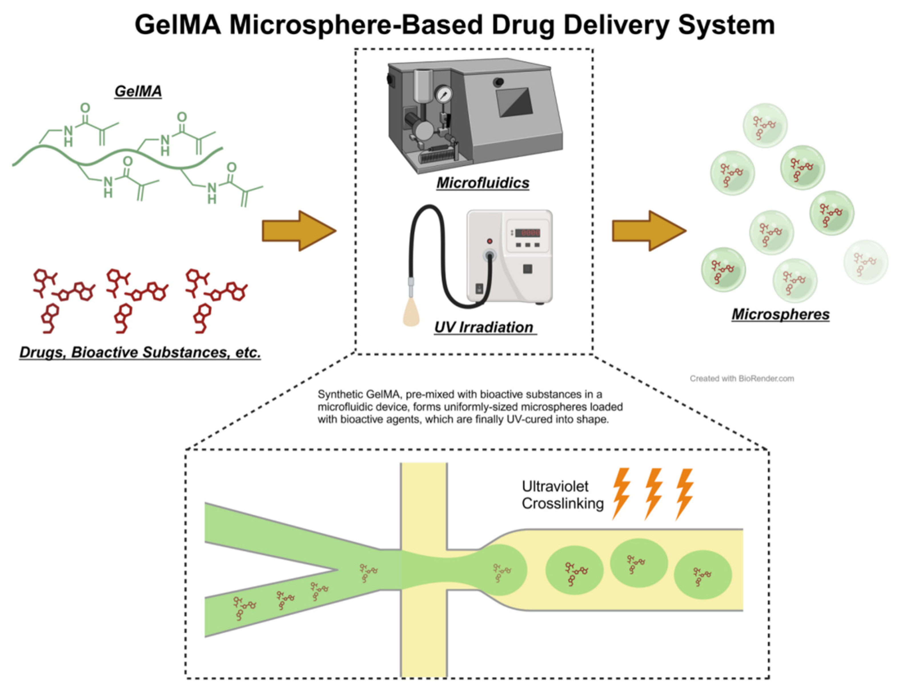 Biomedicines 12 00923 g007