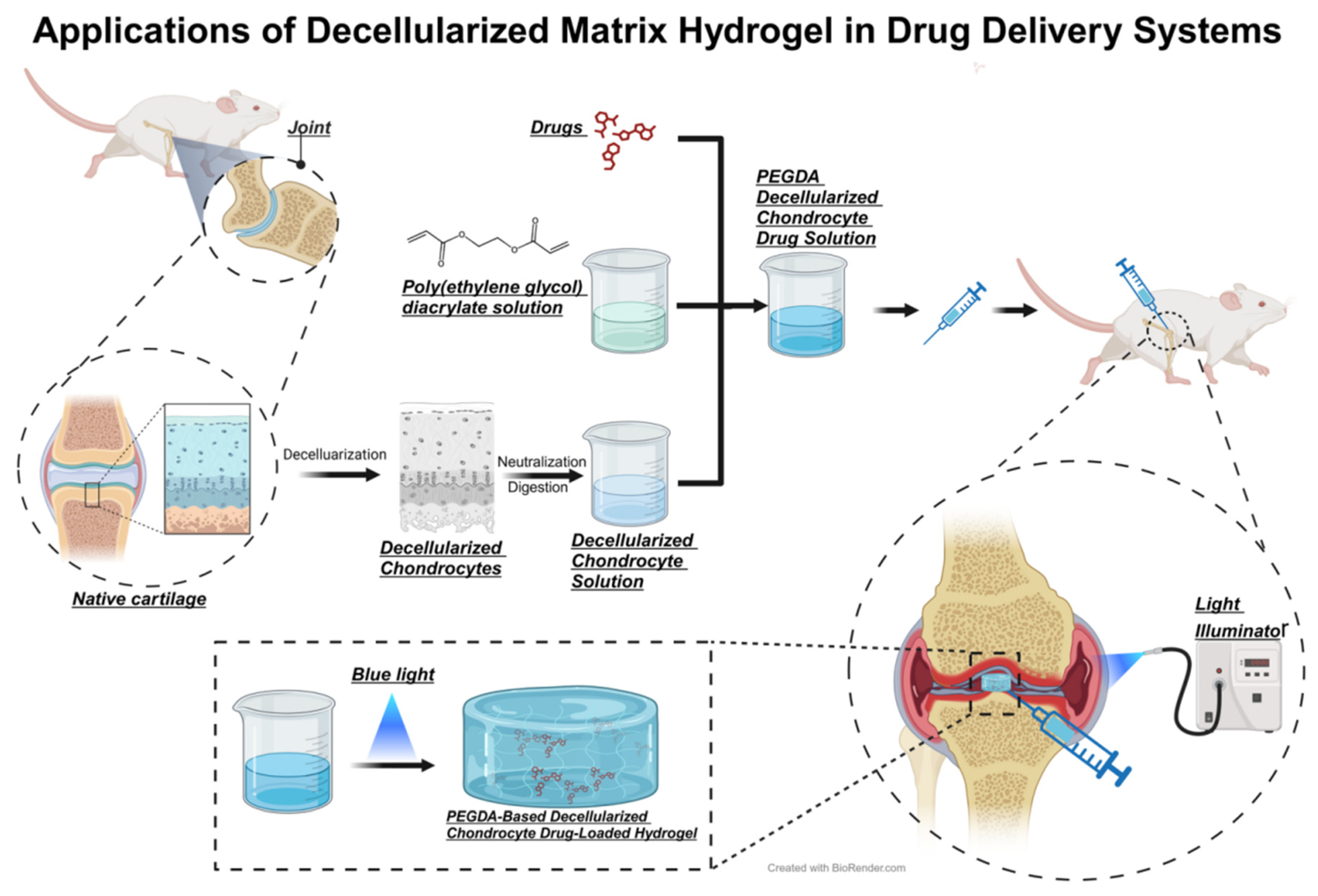 Biomedicines 12 00923 g009