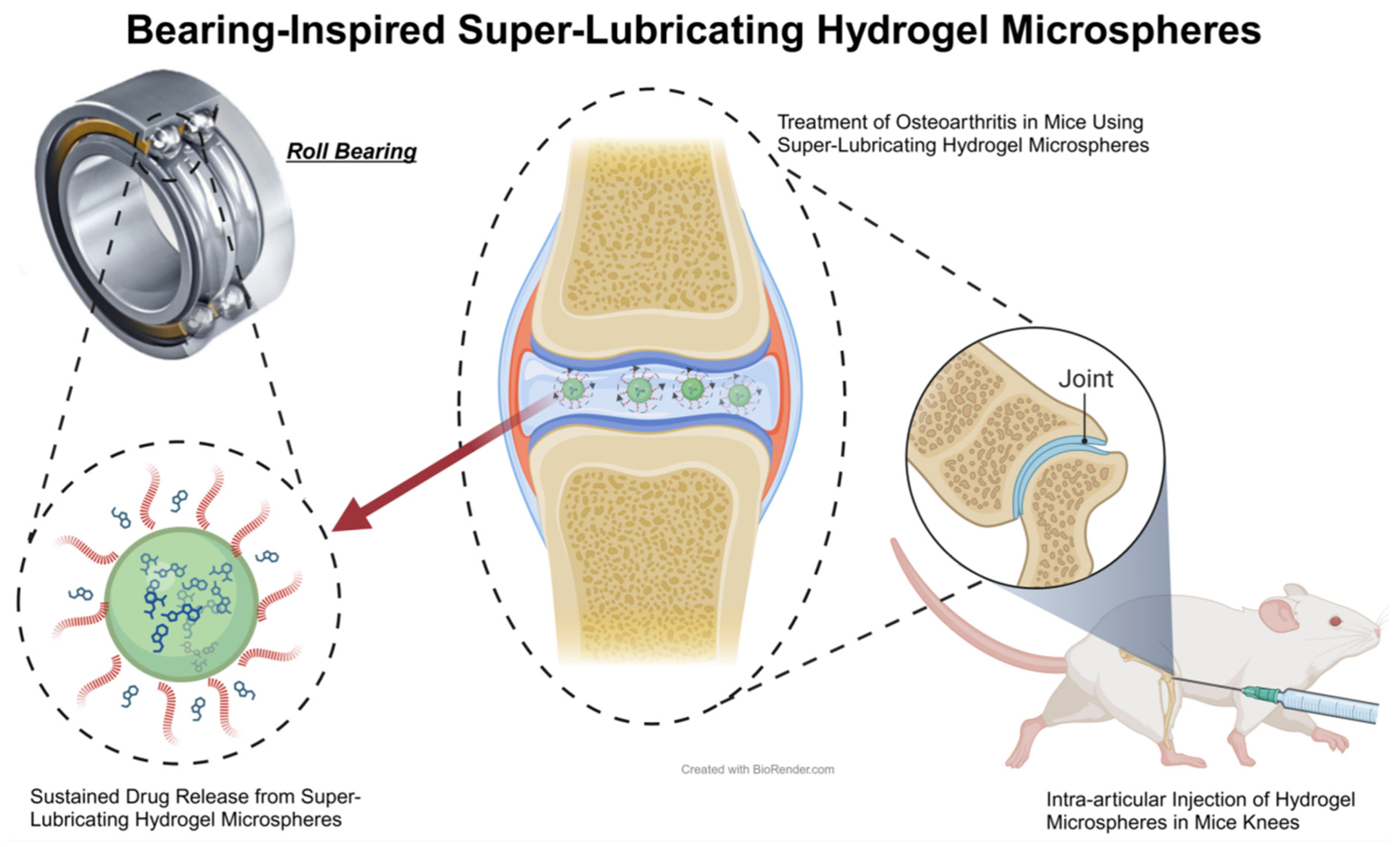 Biomedicines 12 00923 g011