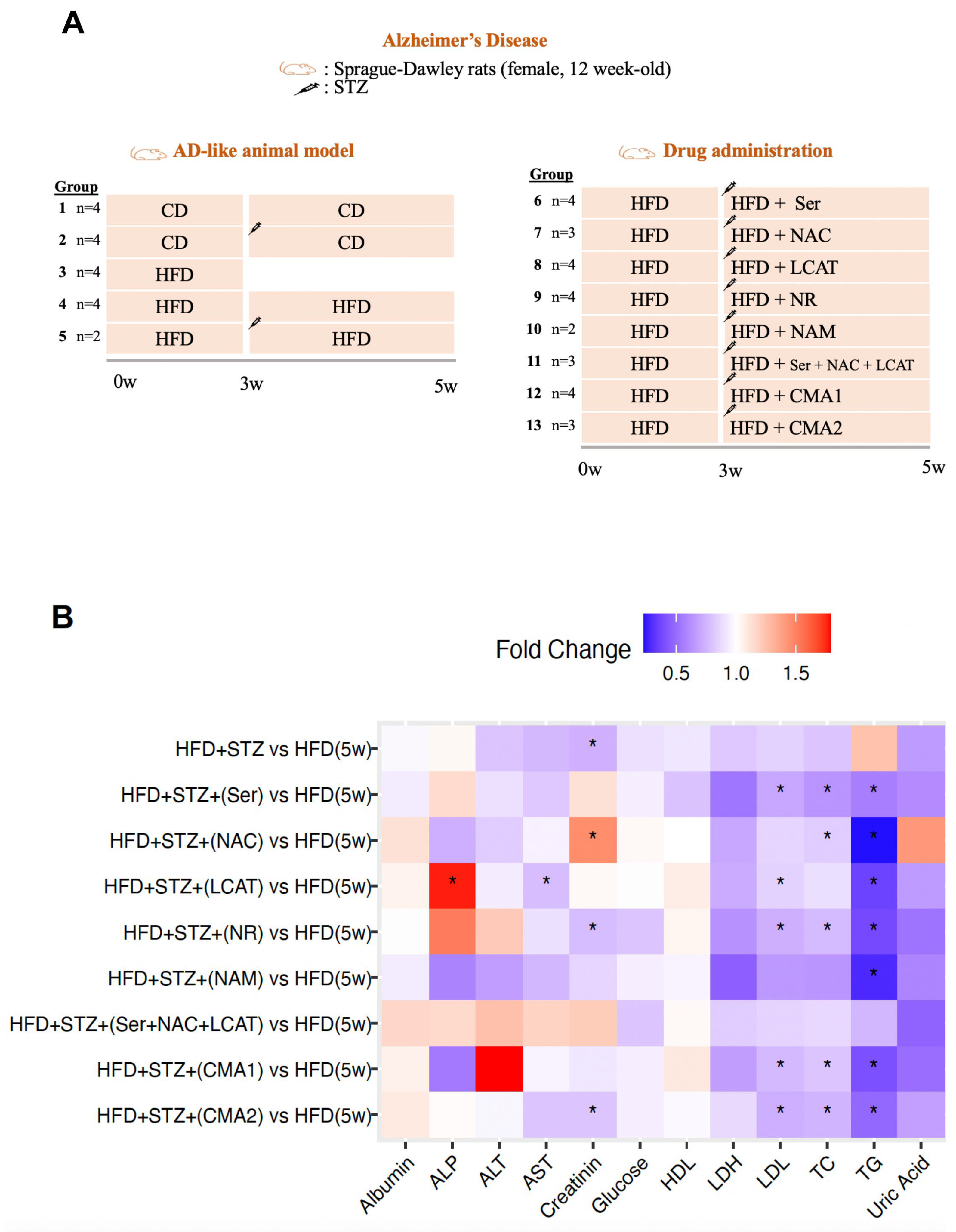 Biomedicines 12 00927 g001