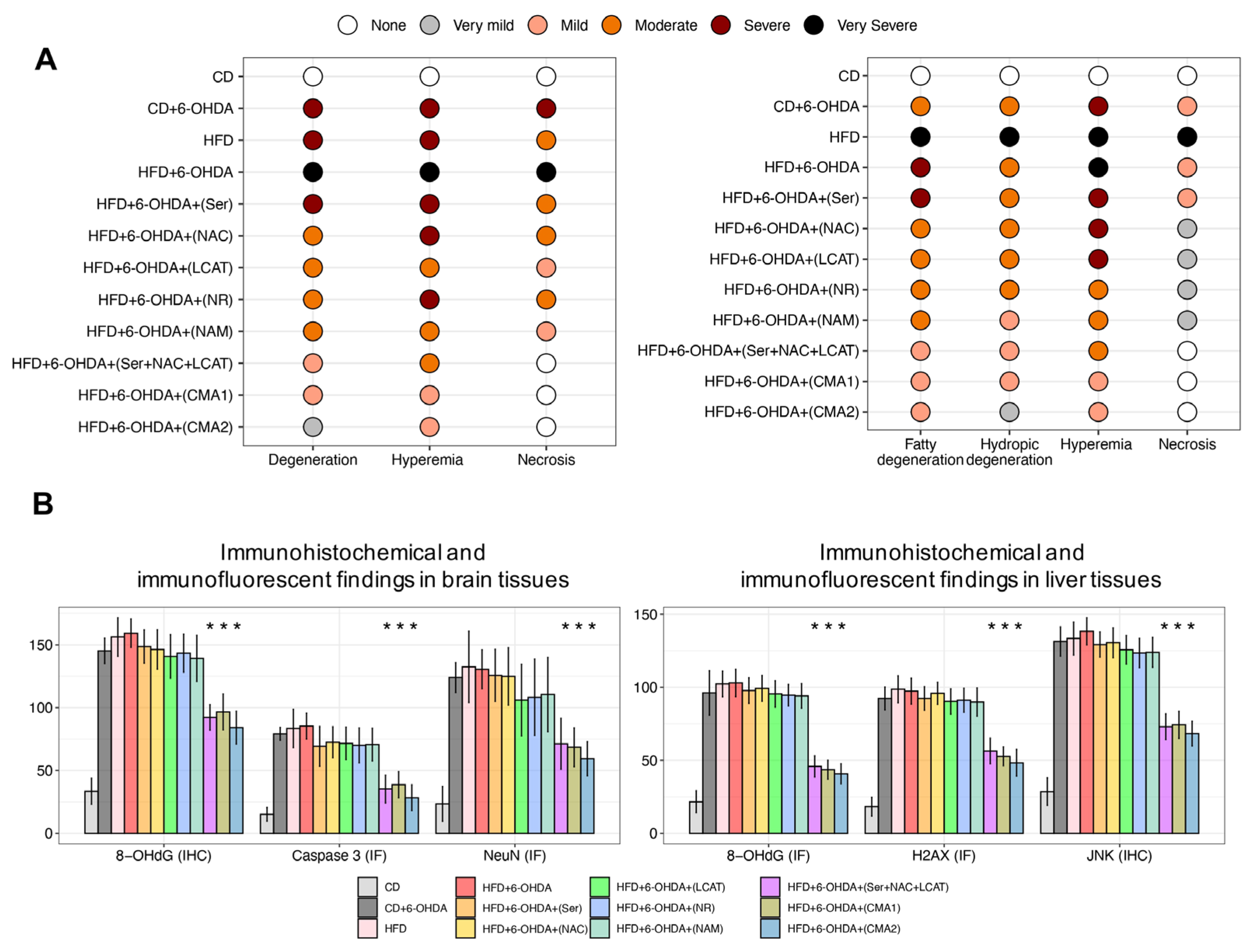 Biomedicines 12 00927 g004