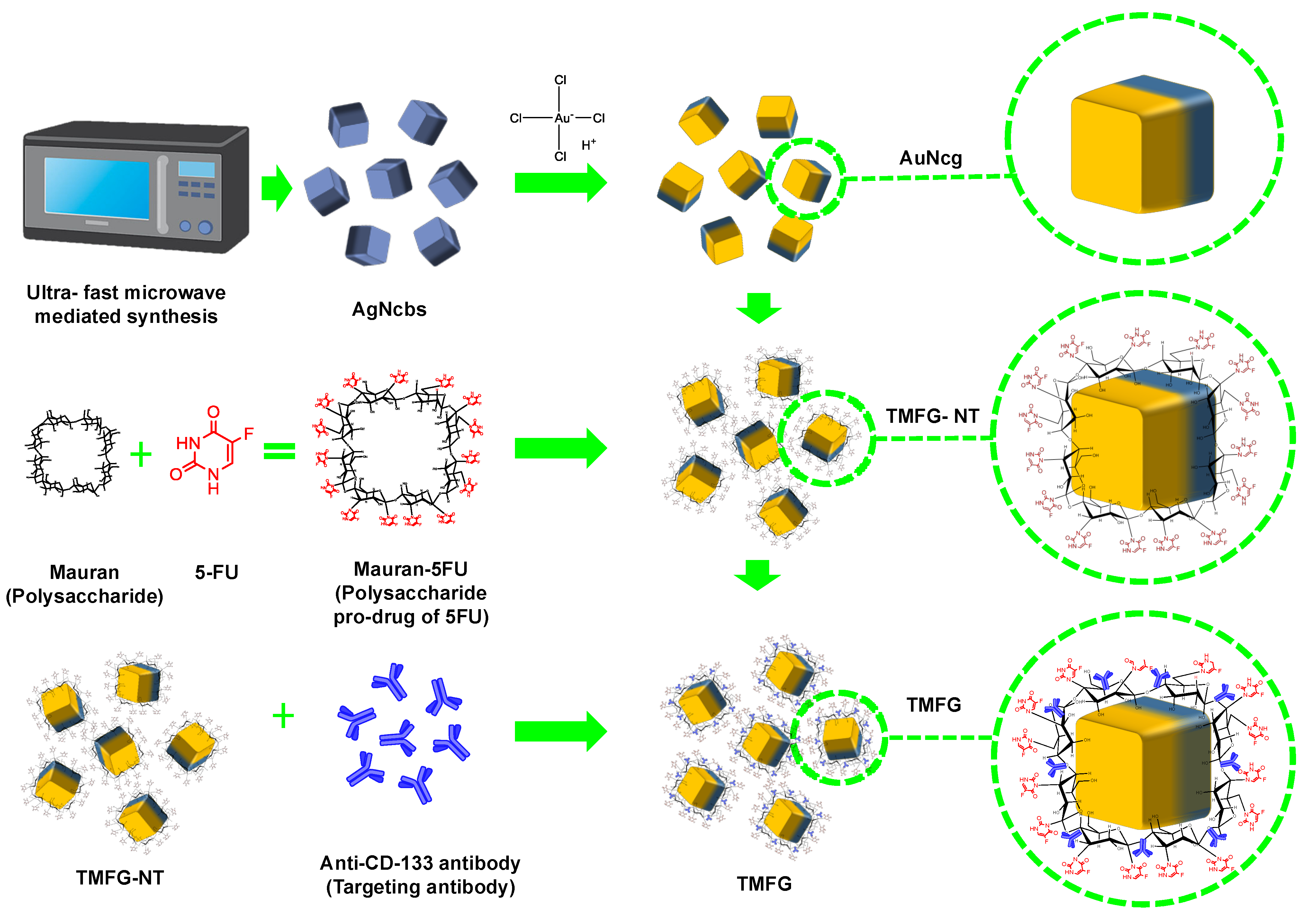 Biomedicines 12 00934 g001