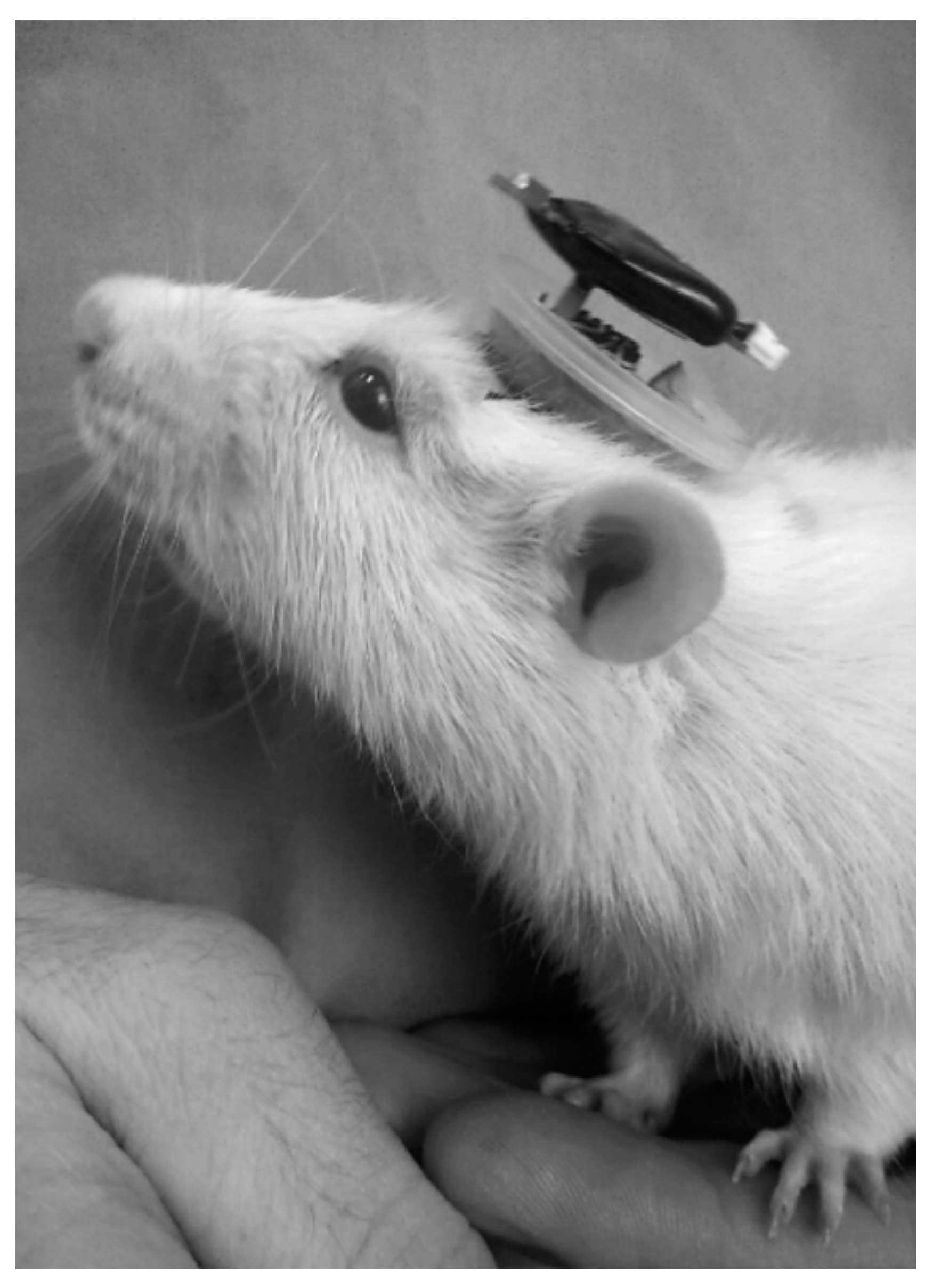 Biomedicines 12 00946 g003