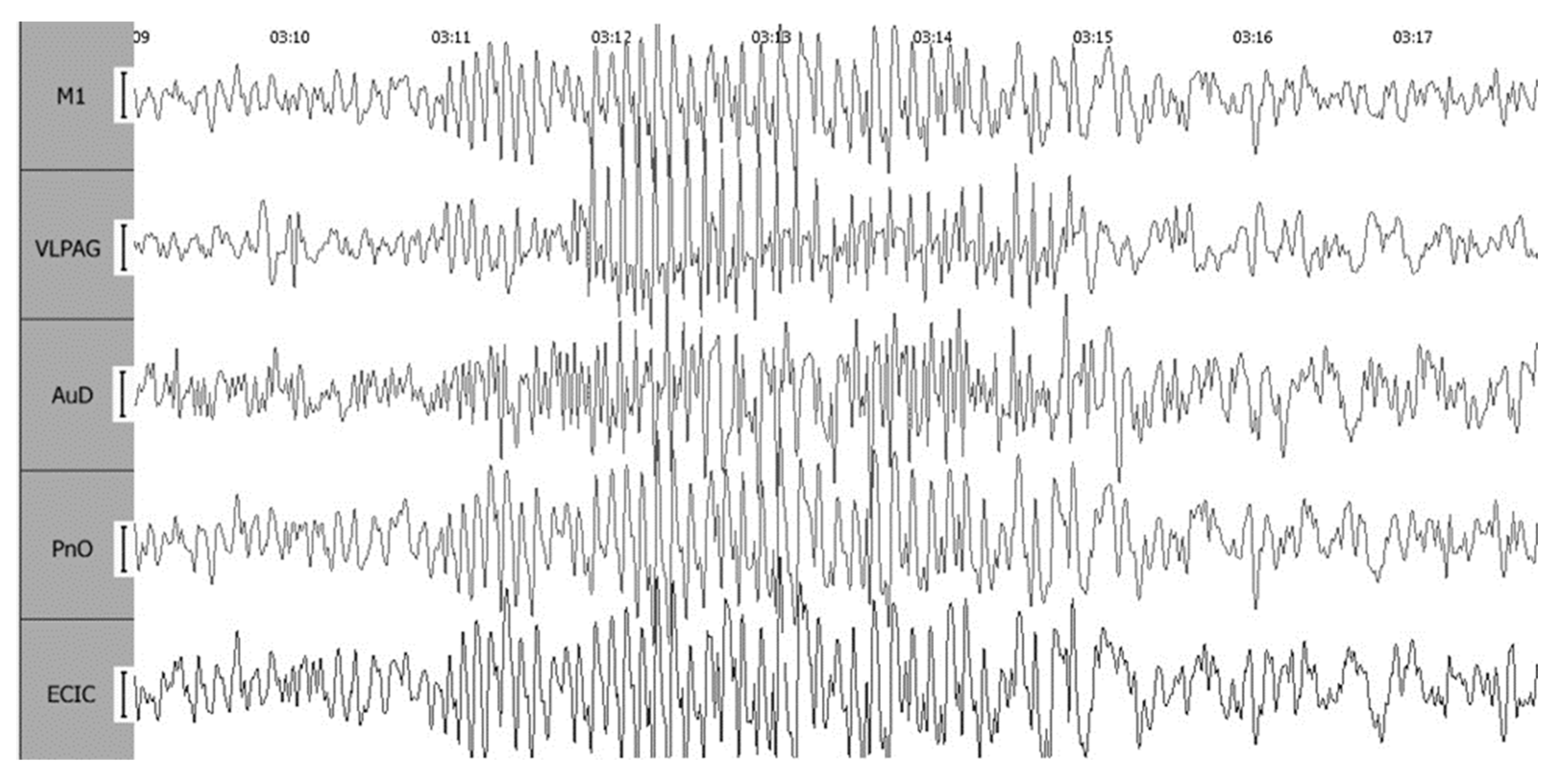Biomedicines 12 00946 g004