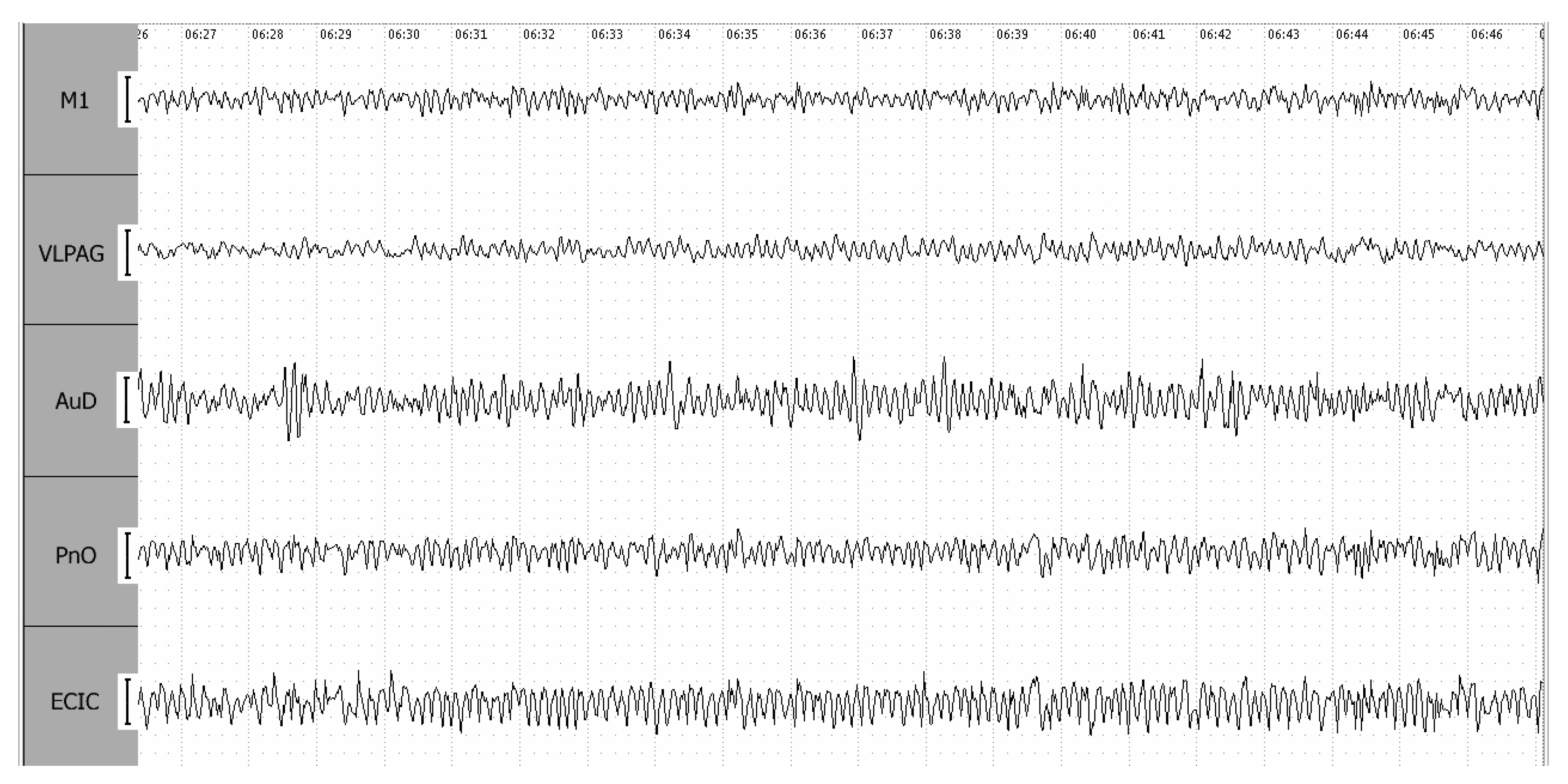 Biomedicines 12 00946 g006