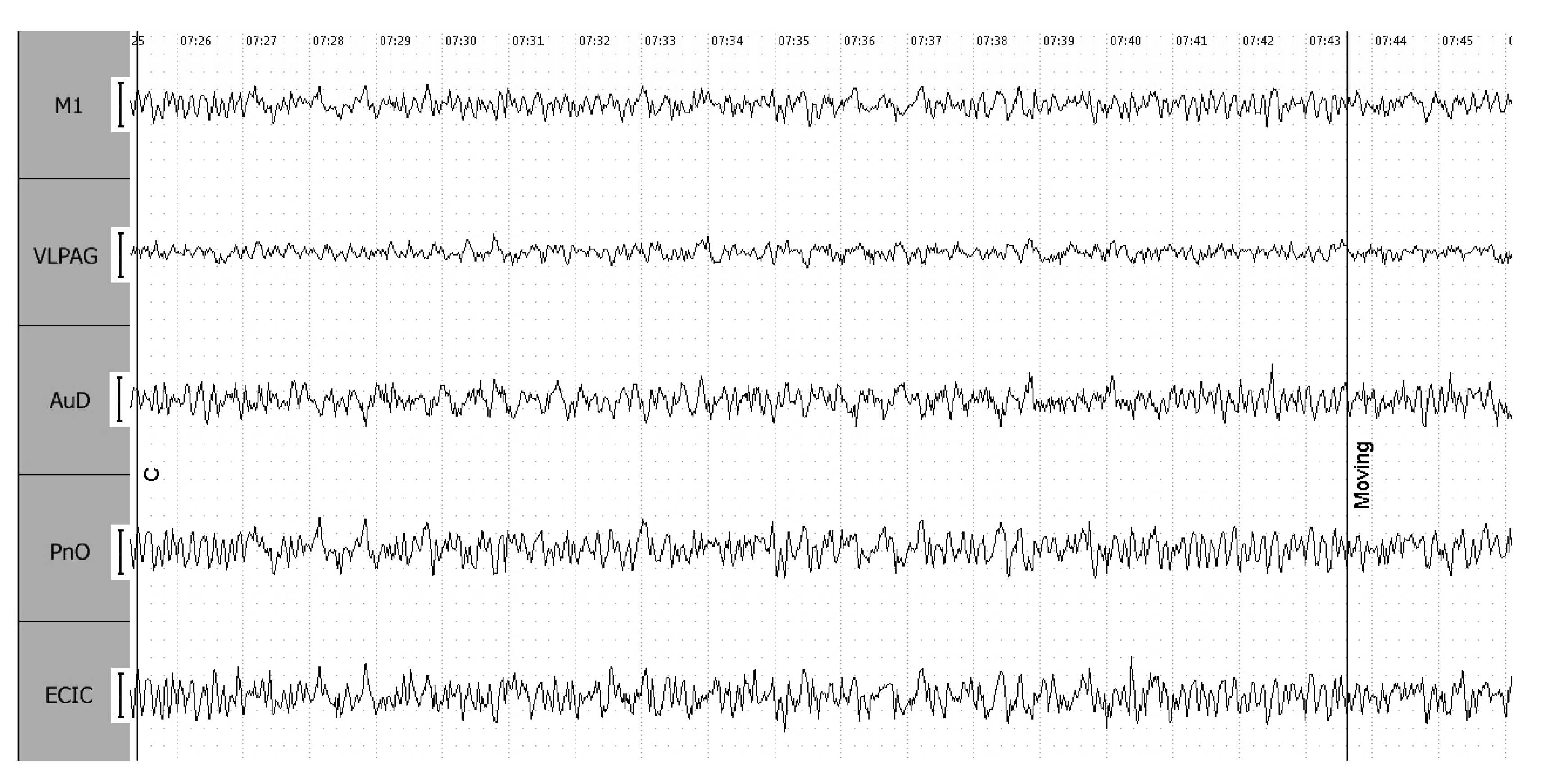 Biomedicines 12 00946 g007