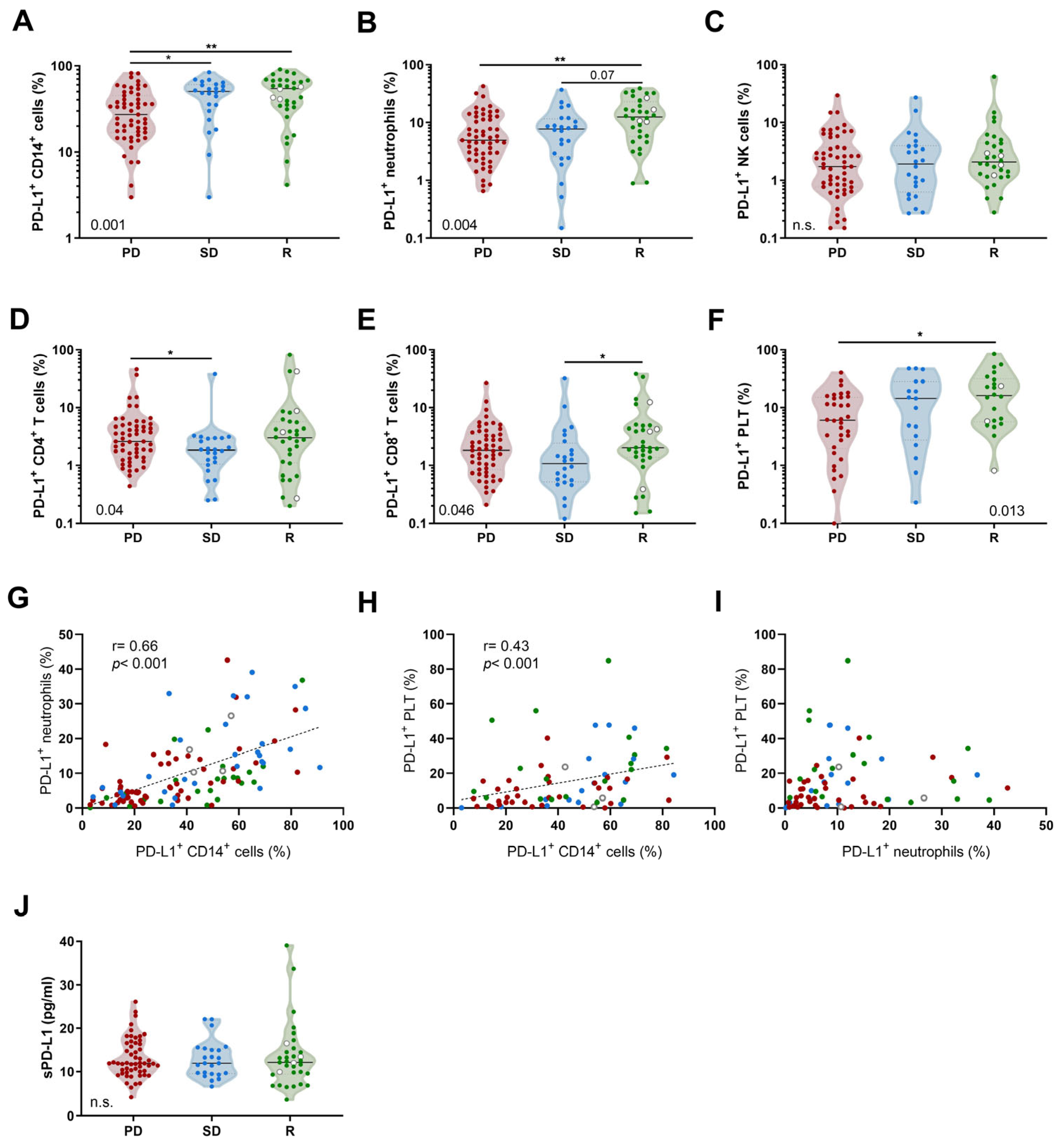 Biomedicines 12 00958 g001