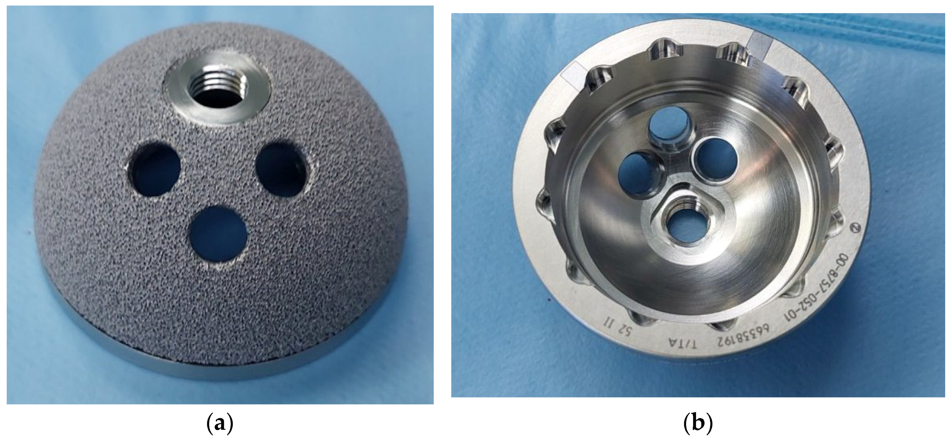 Biomedicines 12 00959 g002 Biomedicines 12 00959 g002