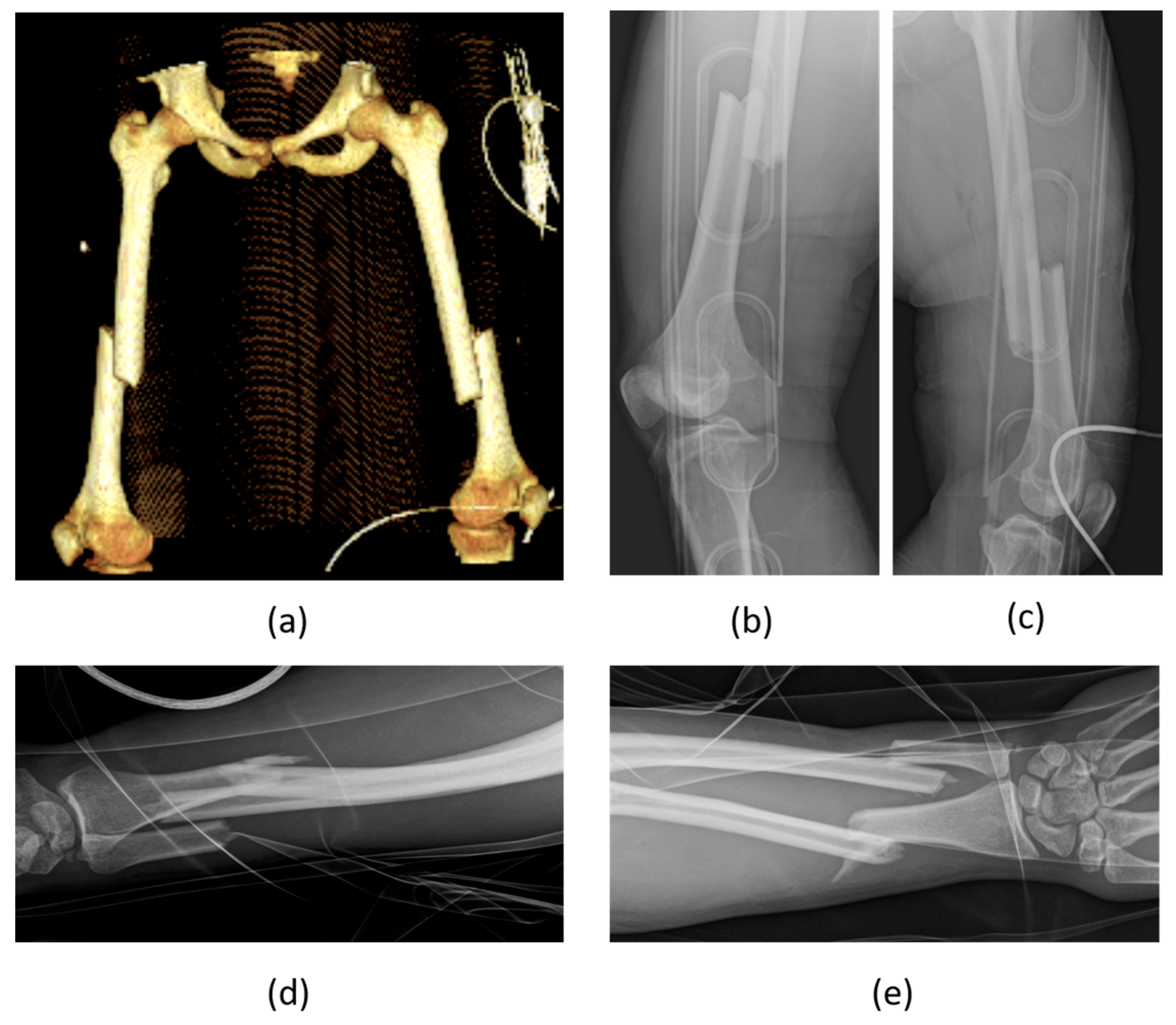 Biomedicines 12 00974 g003