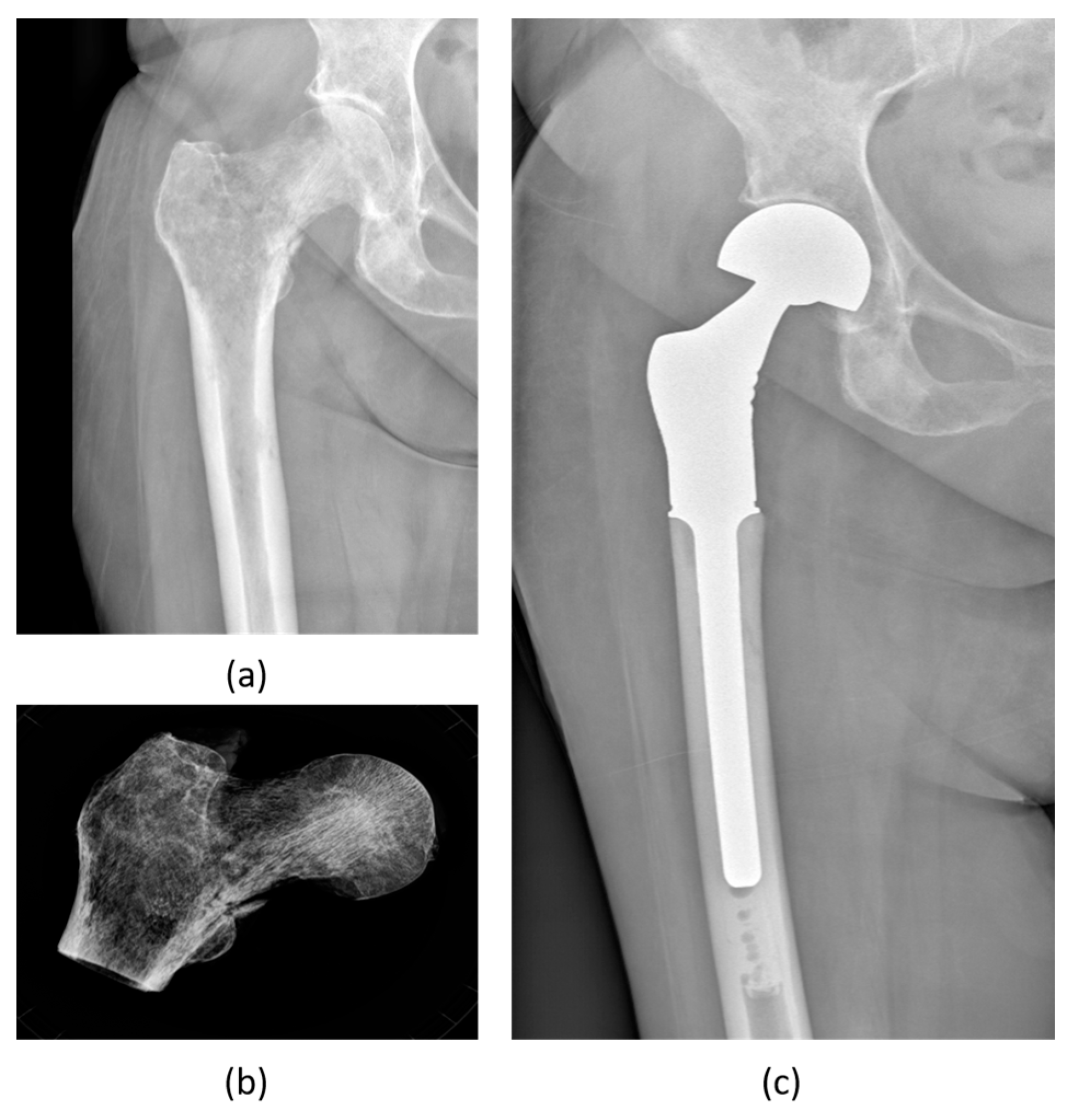 Biomedicines 12 00974 g005