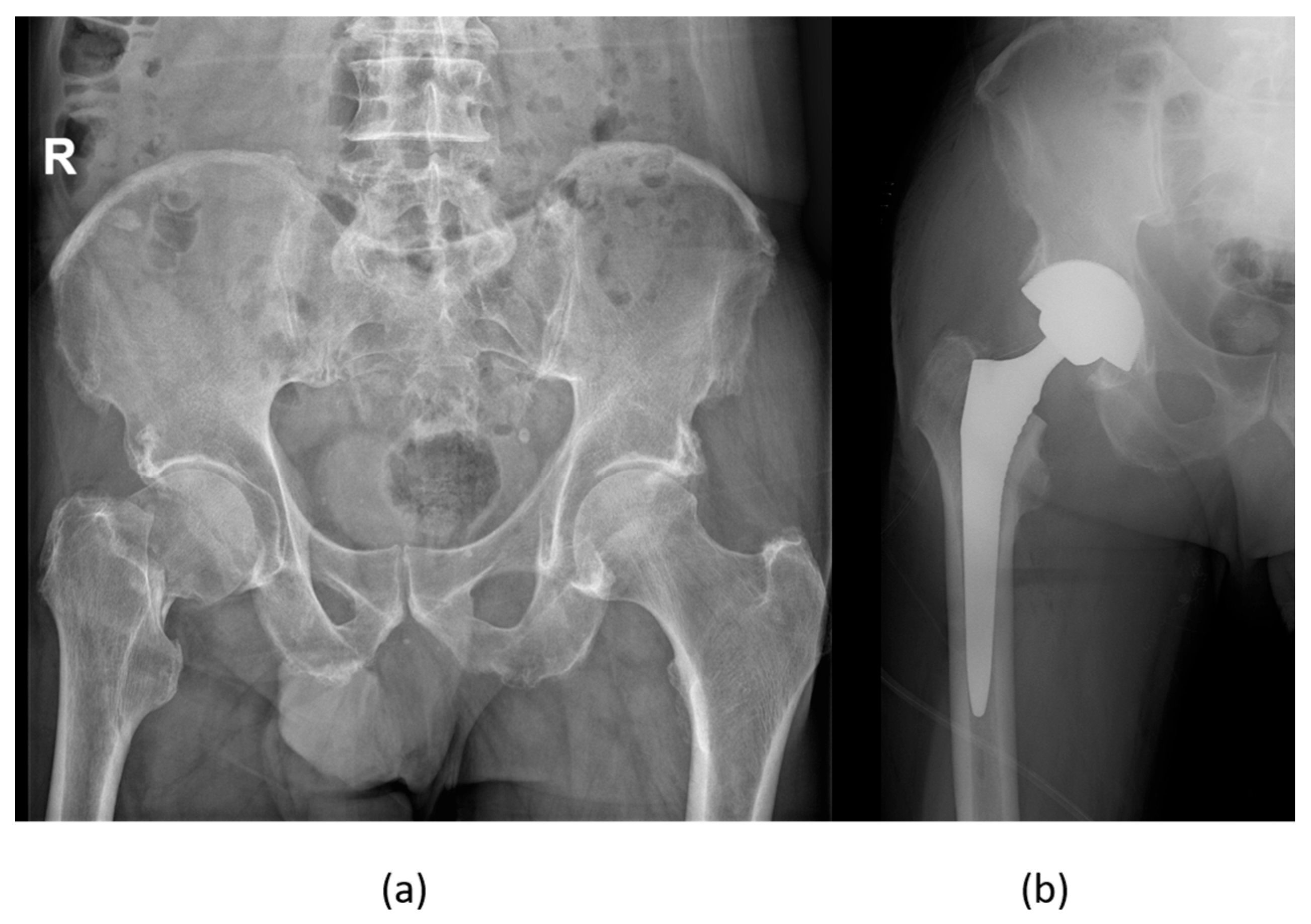 Biomedicines 12 00974 g007