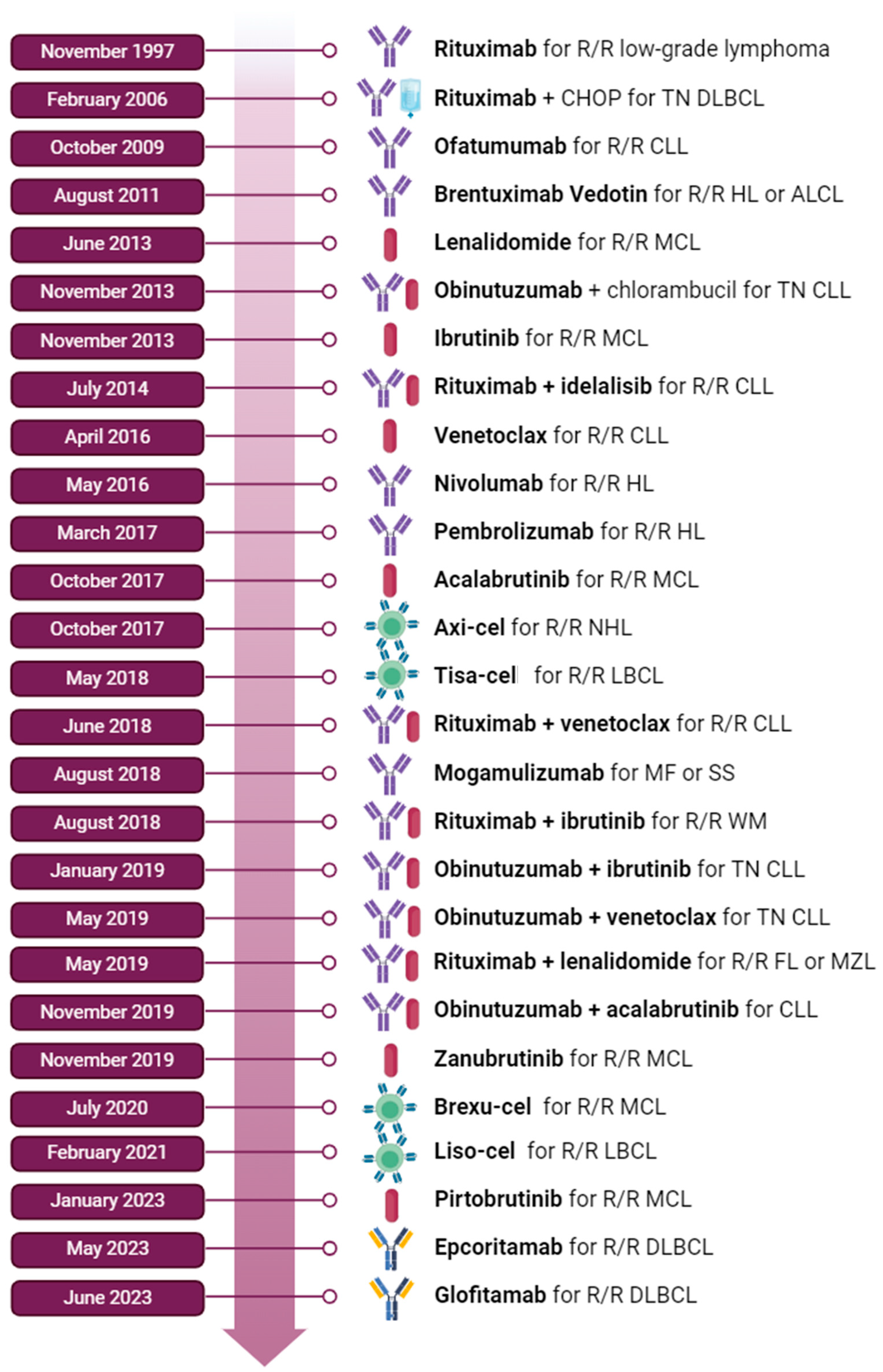 Biomedicines 12 00977 g001