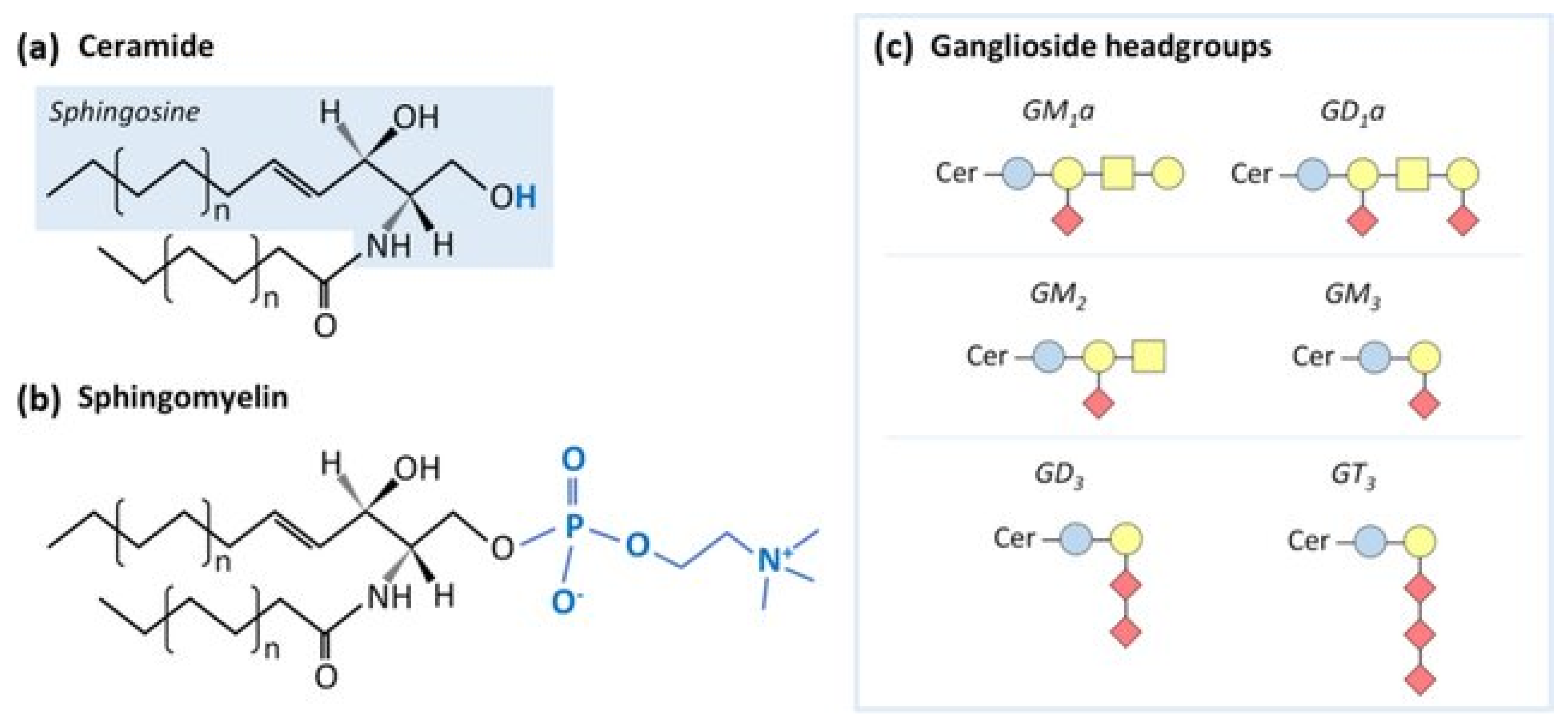 Biomedicines 12 00978 g002 Biomedicines 12 00978 g002