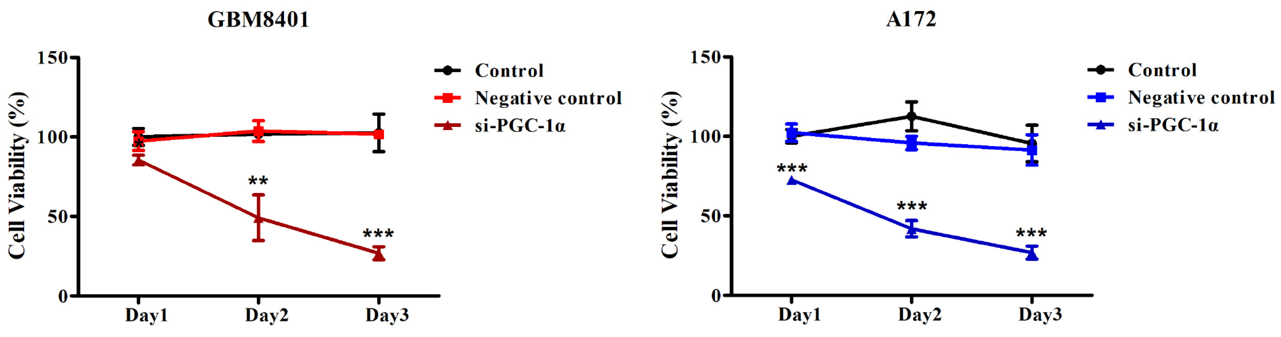 Biomedicines 12 00979 g004
